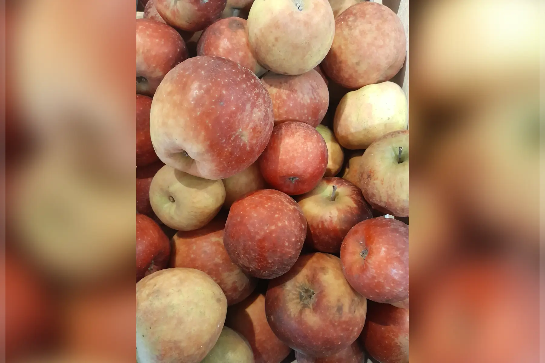 Pomme Dalinette