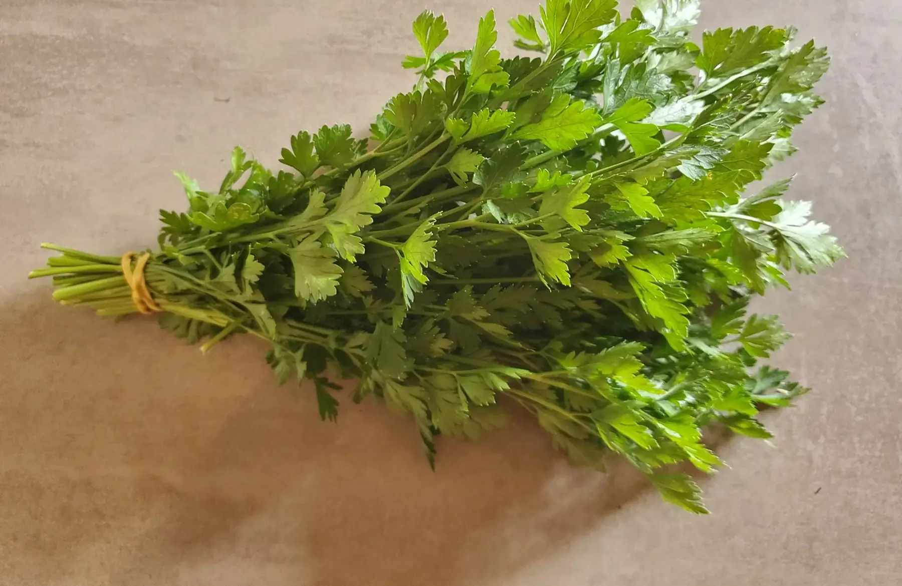 persil plat