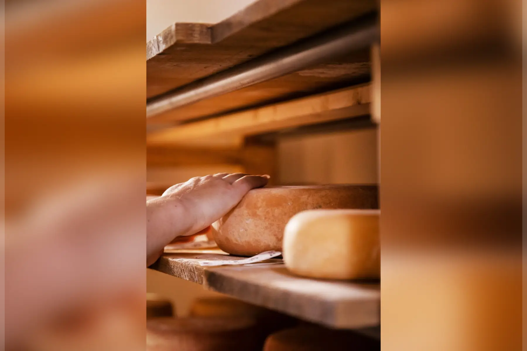 tome de brebis 12 mois 200g (+/- 10%) au lait cru bio et fermière