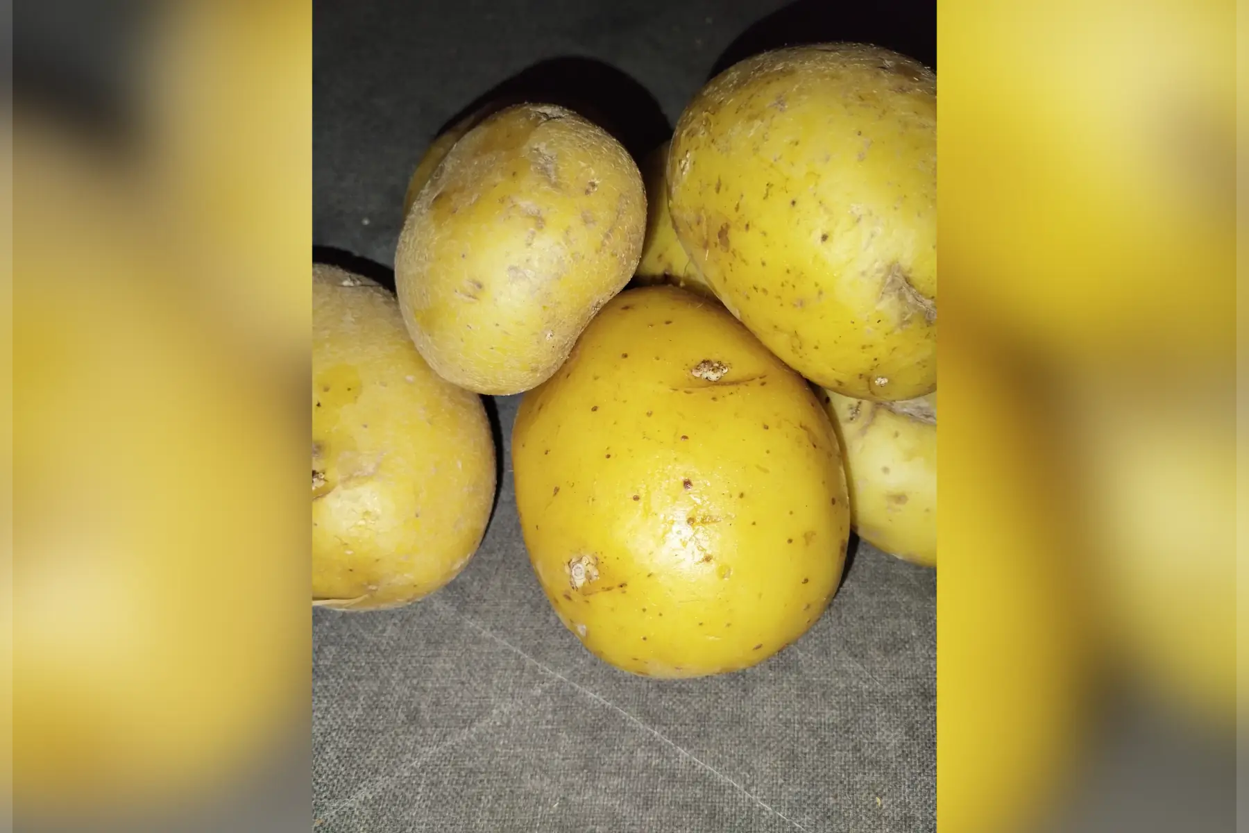 Pomme de terre promo 10kg