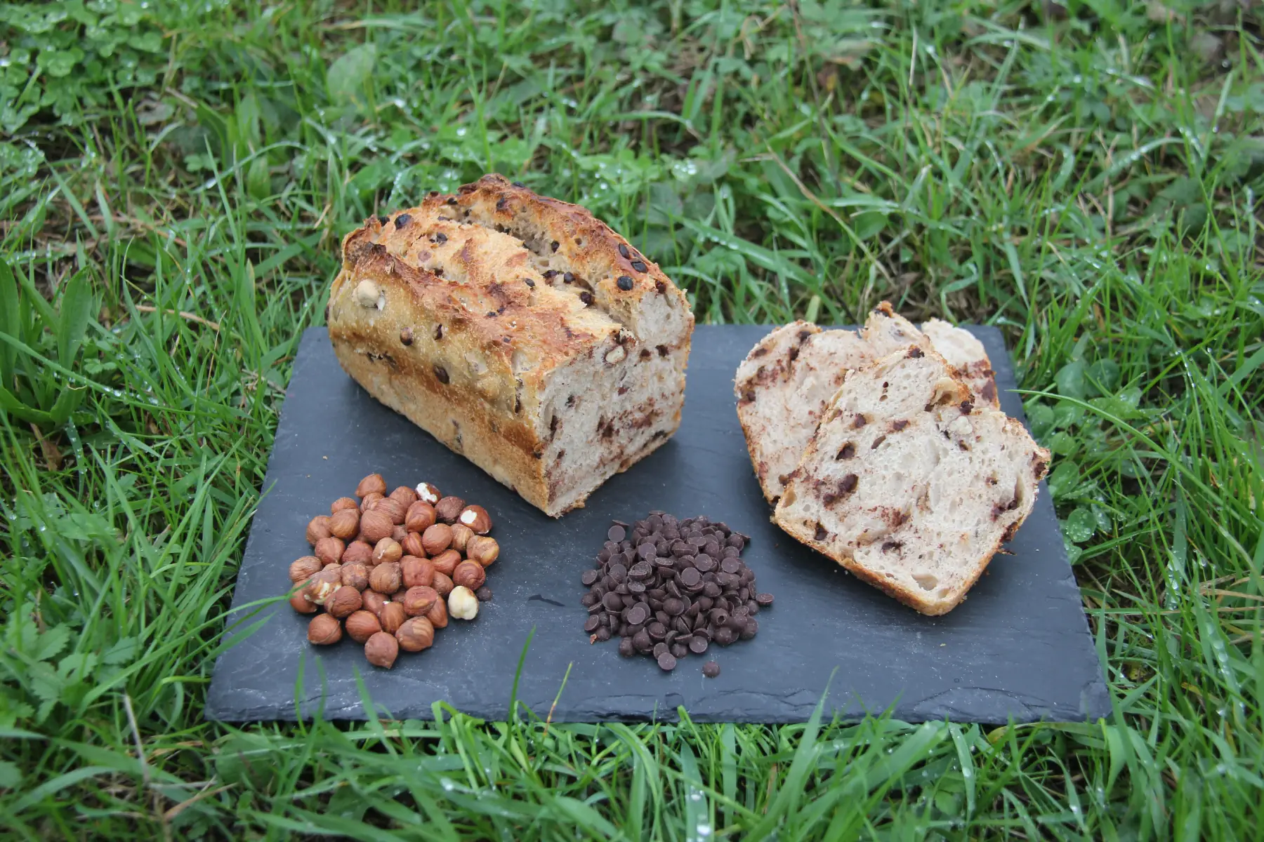 le chocolat - noisettes