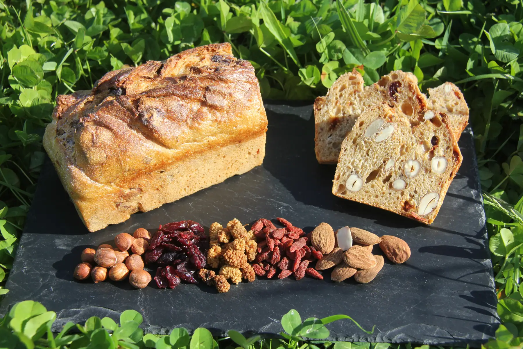 le superfruits - amandes - noisettes