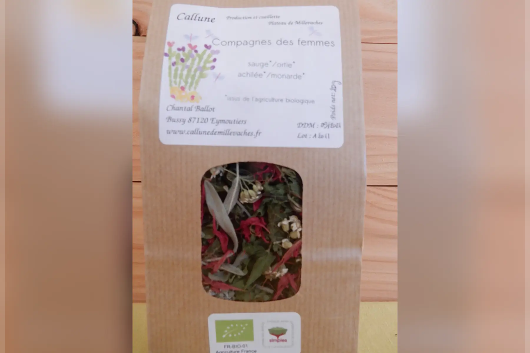 compagnes des femmes