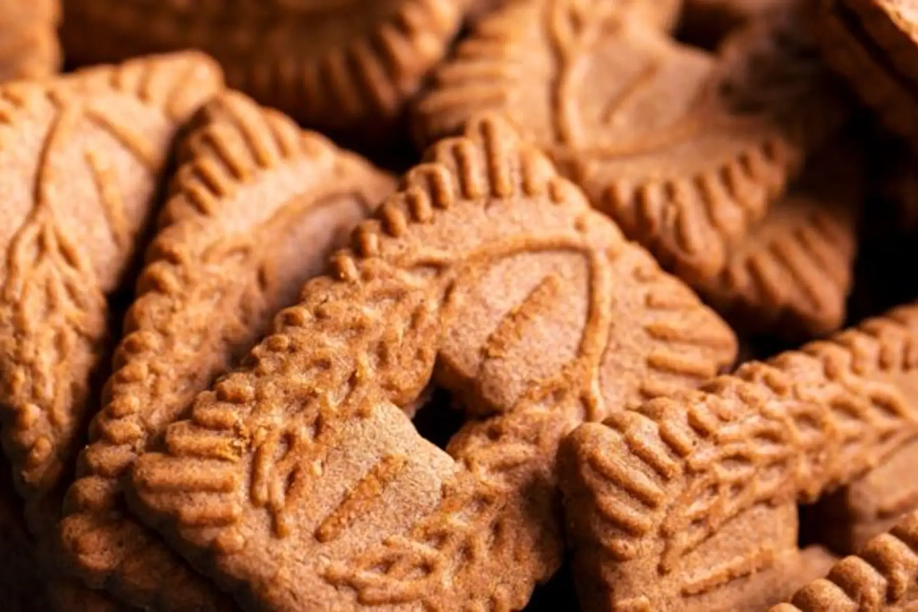 Glace de chevre Spéculoos