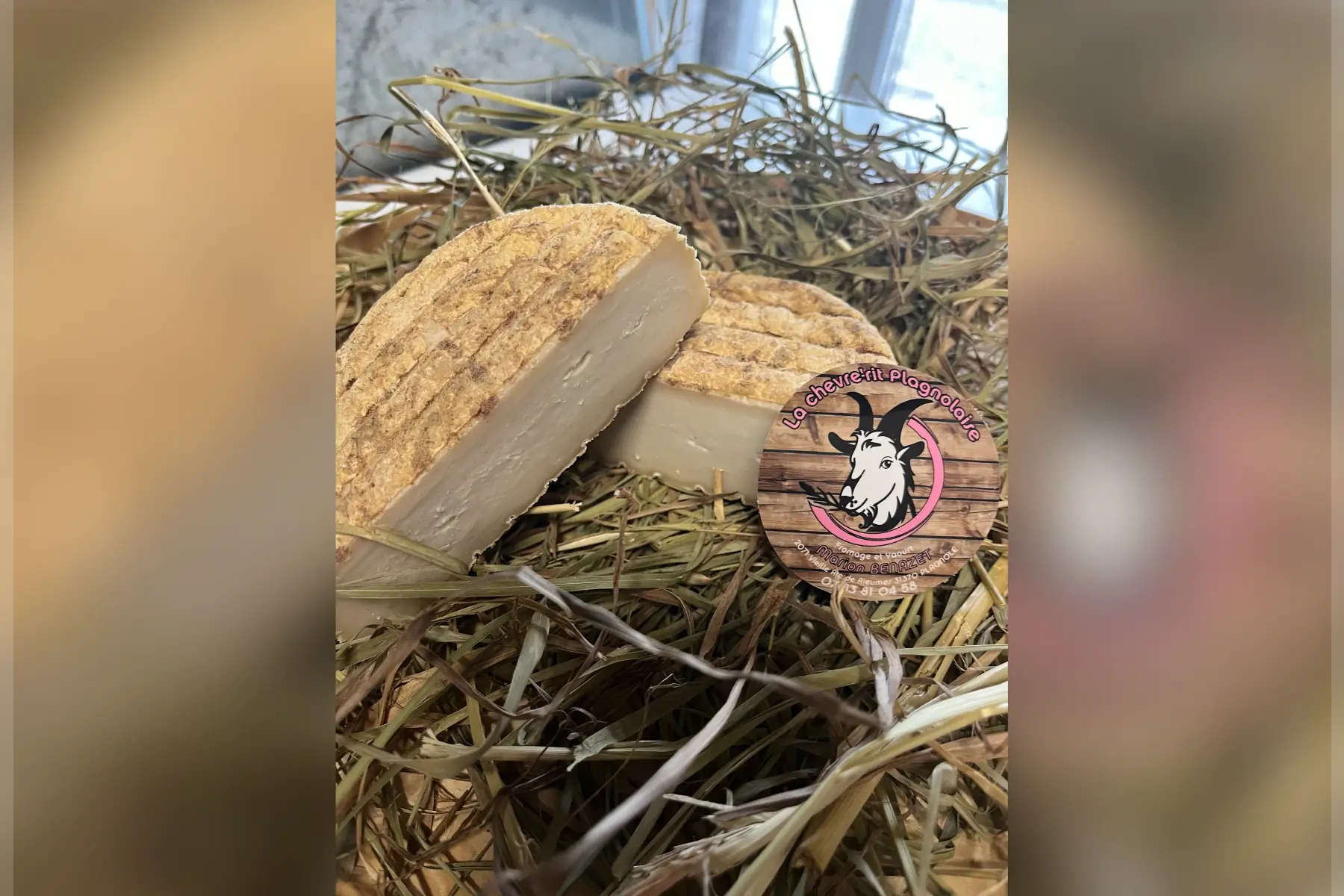 le plagnolais