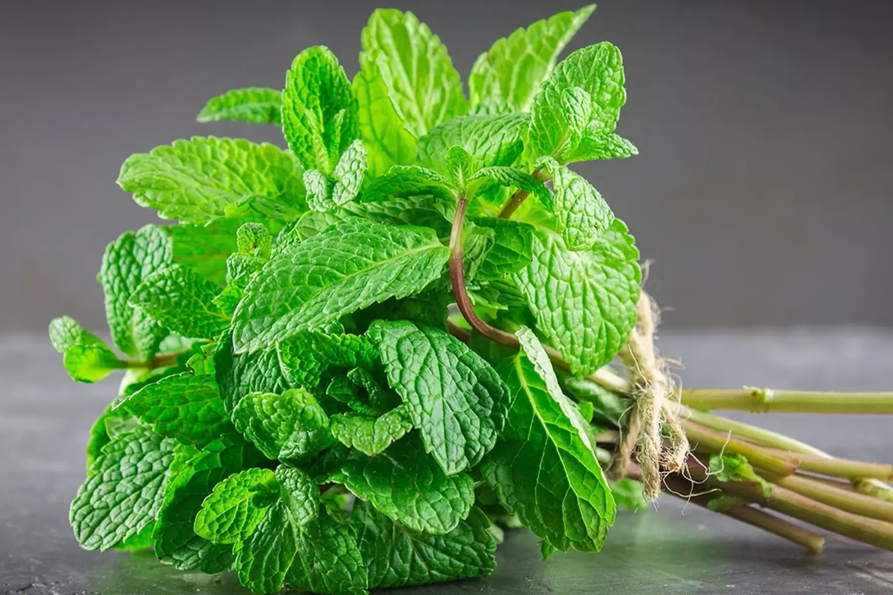 Glace de chevre Menthe