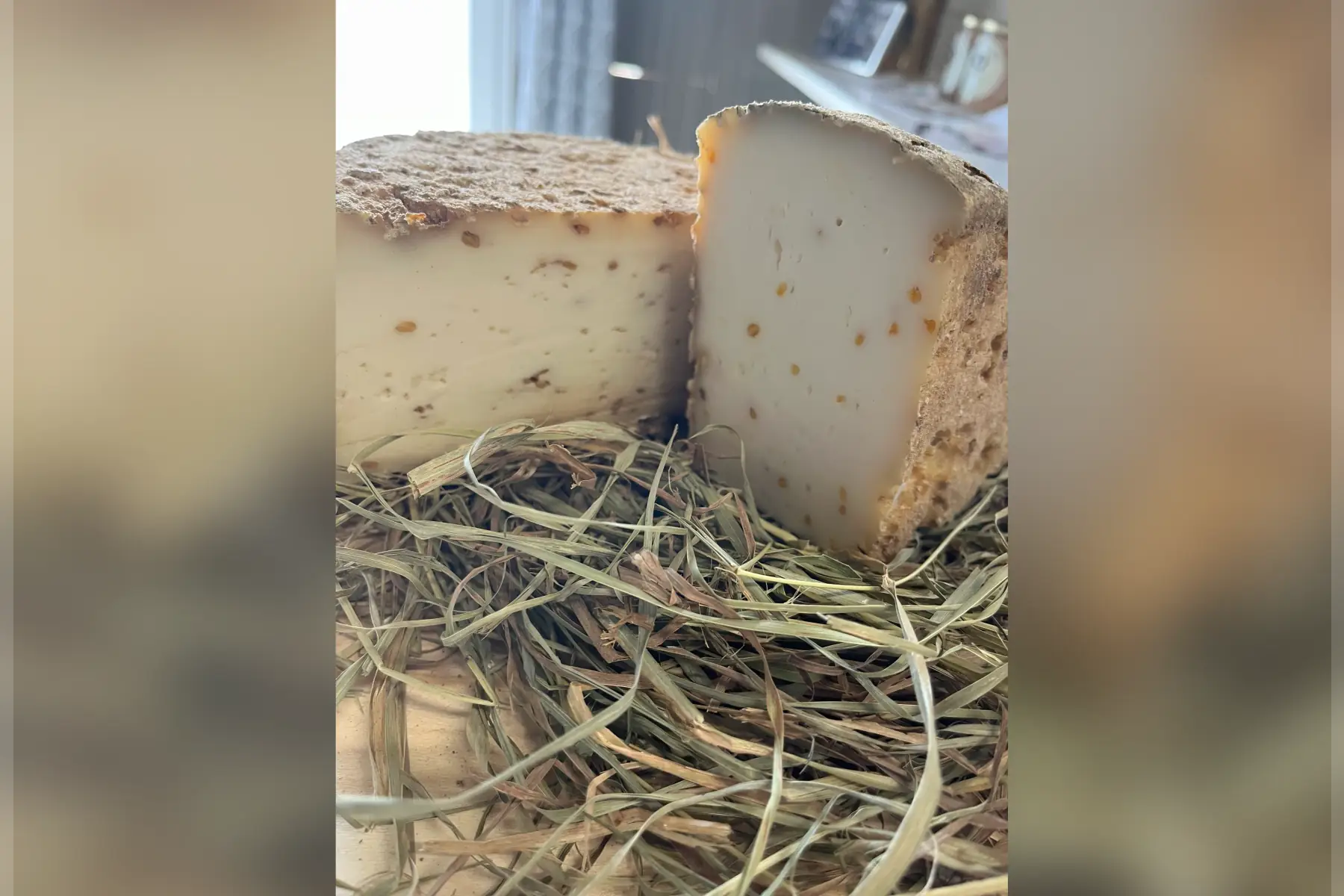 demi tomme fenugrec
