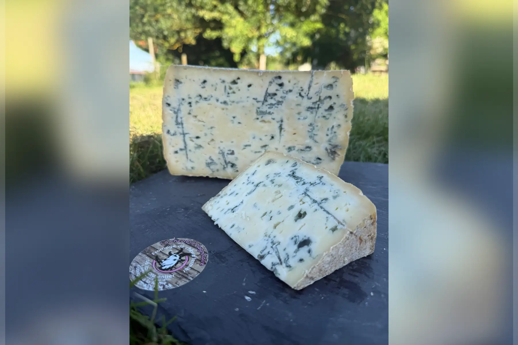 Bleu de chèvre
