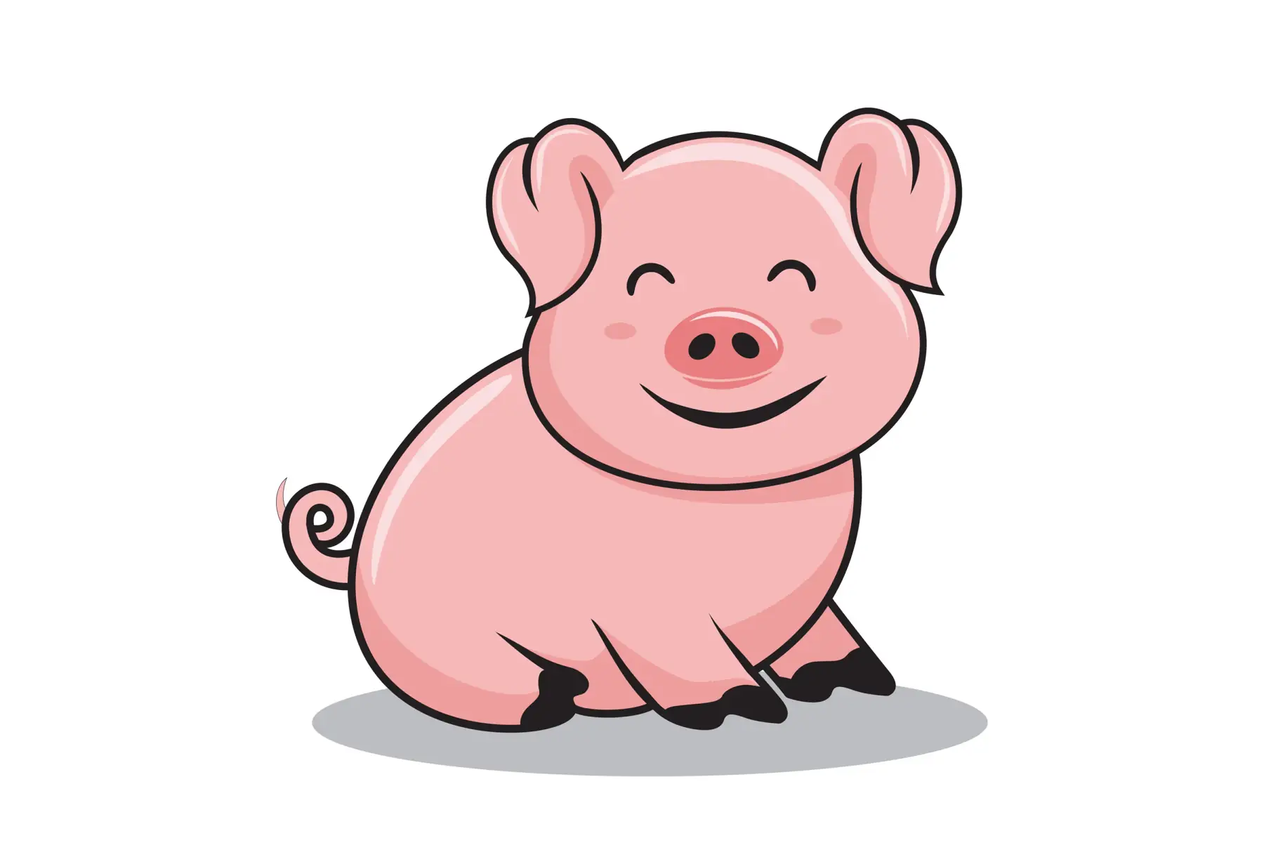 porc: colis de 5kg