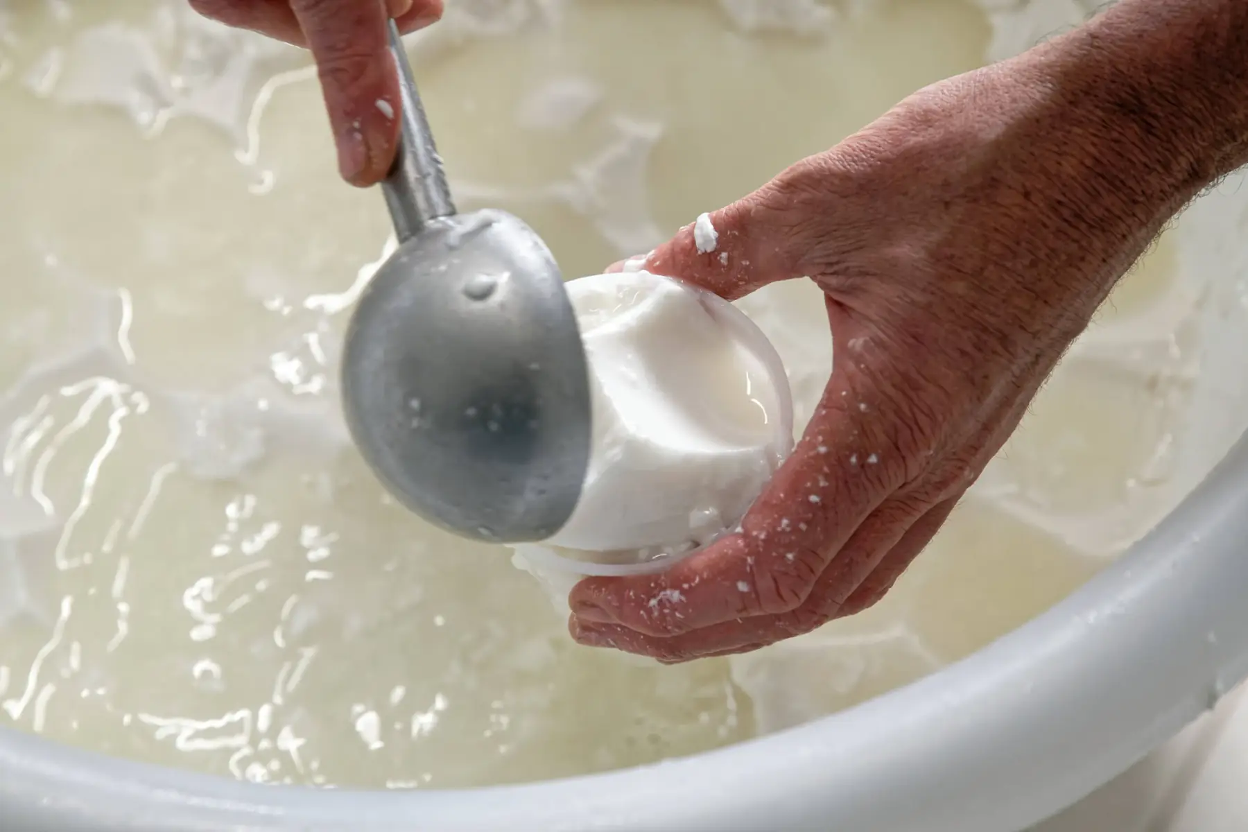 Chèvrerie de la Poterie