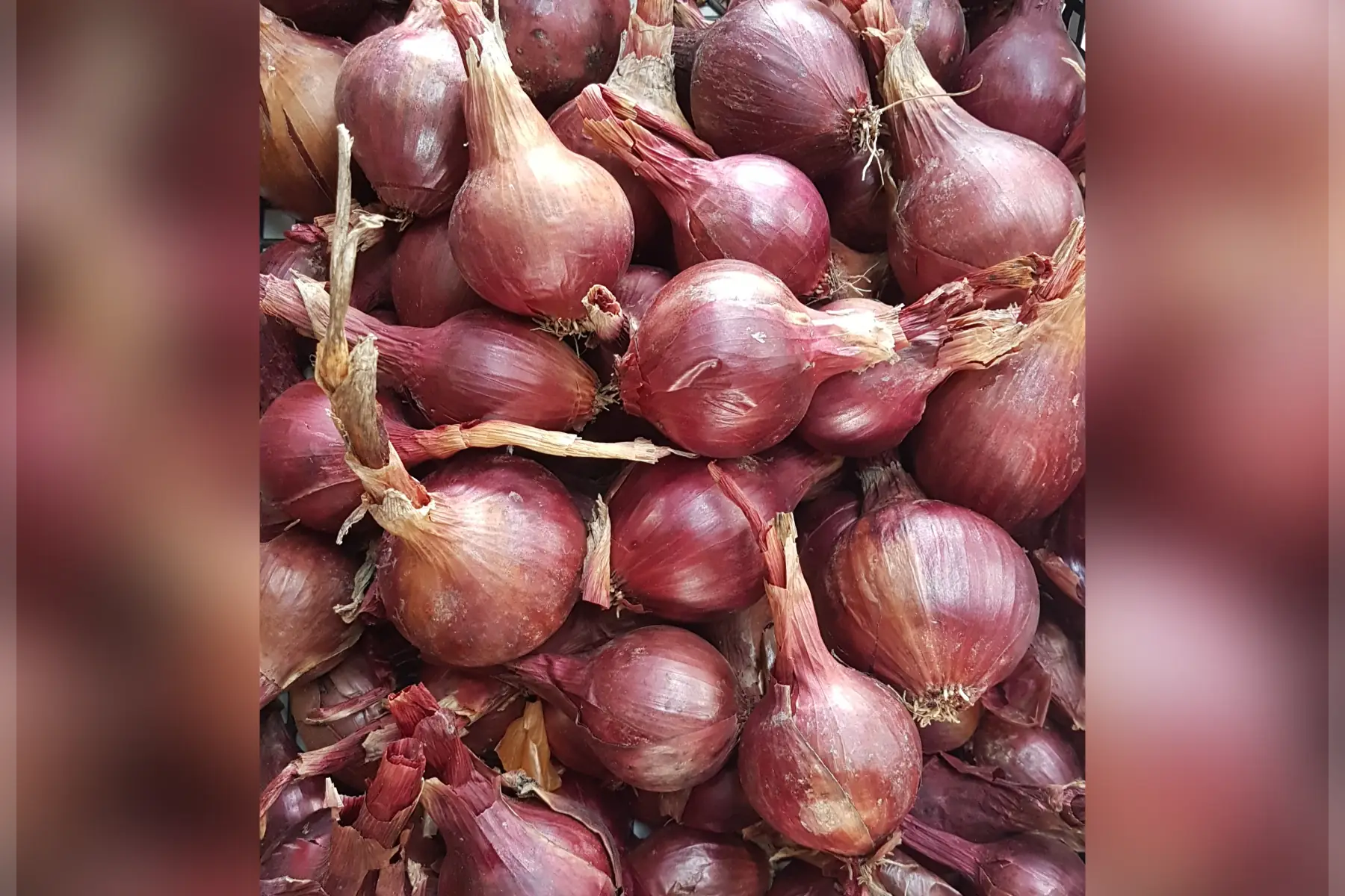 les jardins du Tellier