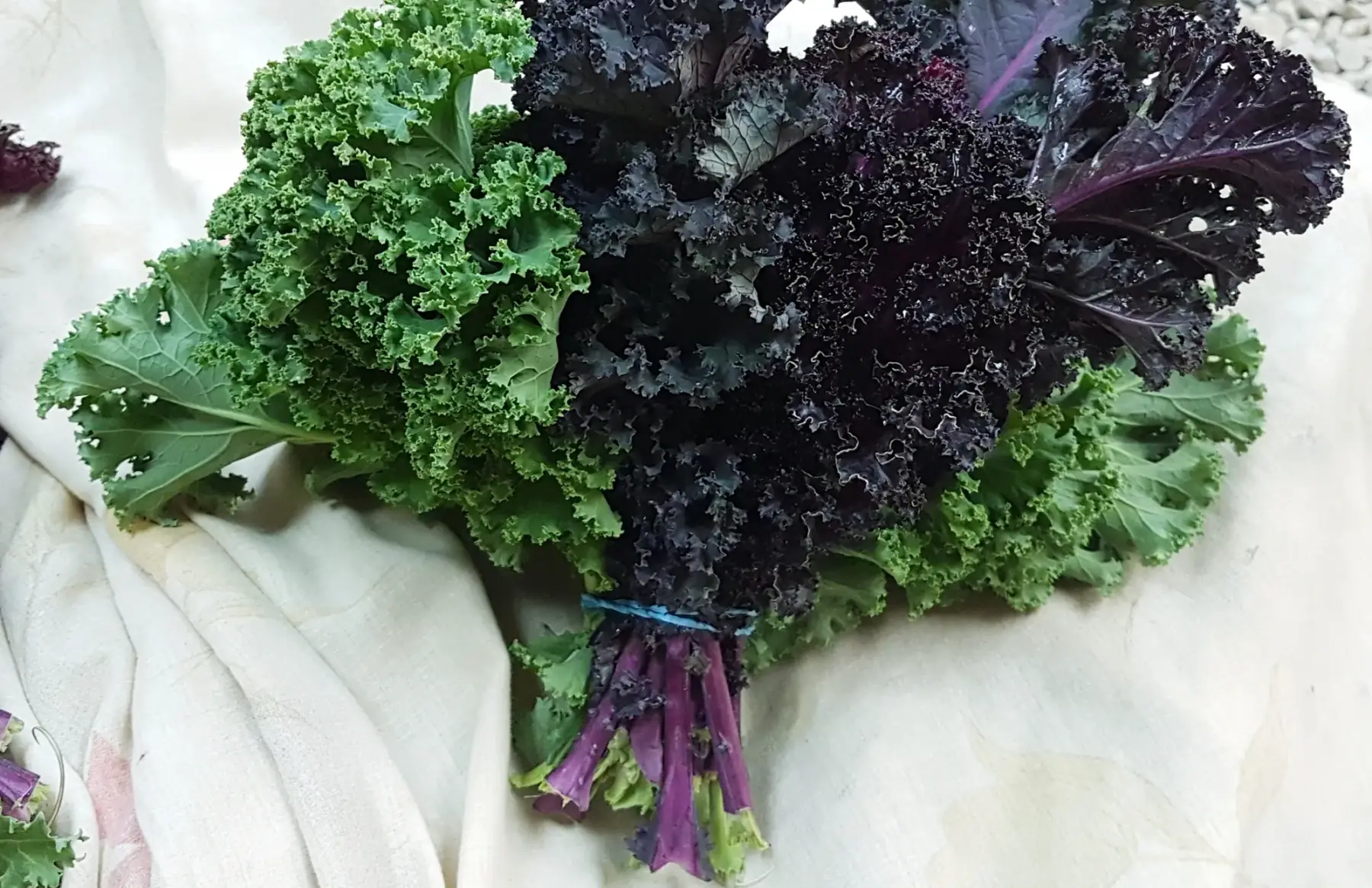 Chou kale