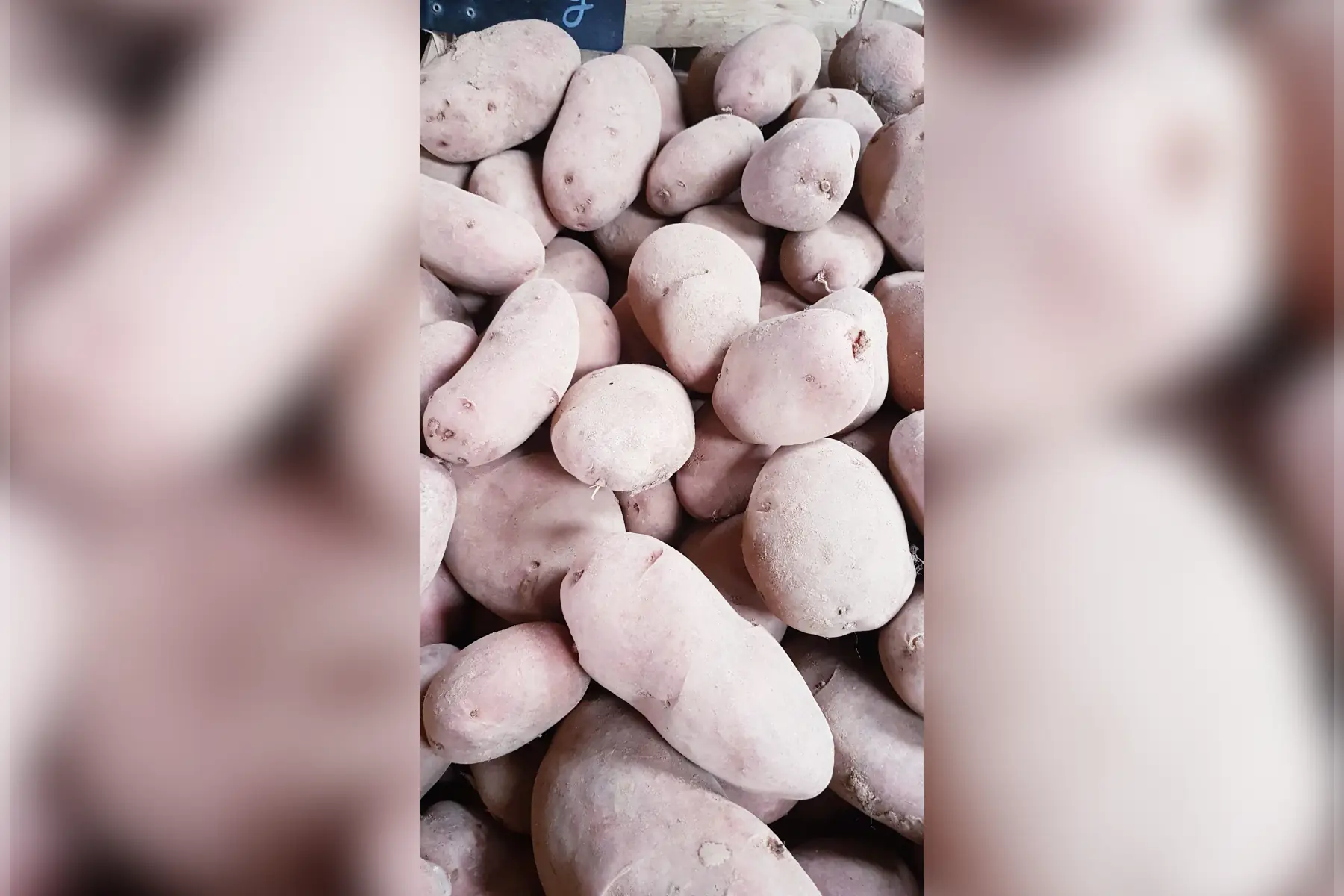 Pomme de terre tendre