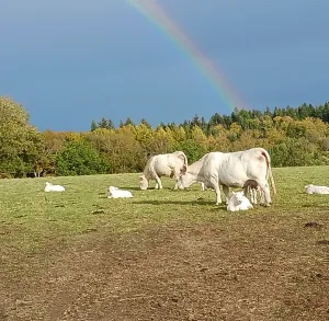 gaec de la vergnette