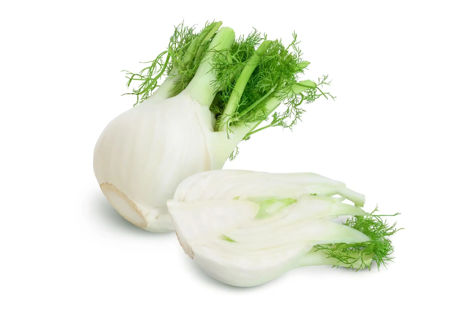 fenouil