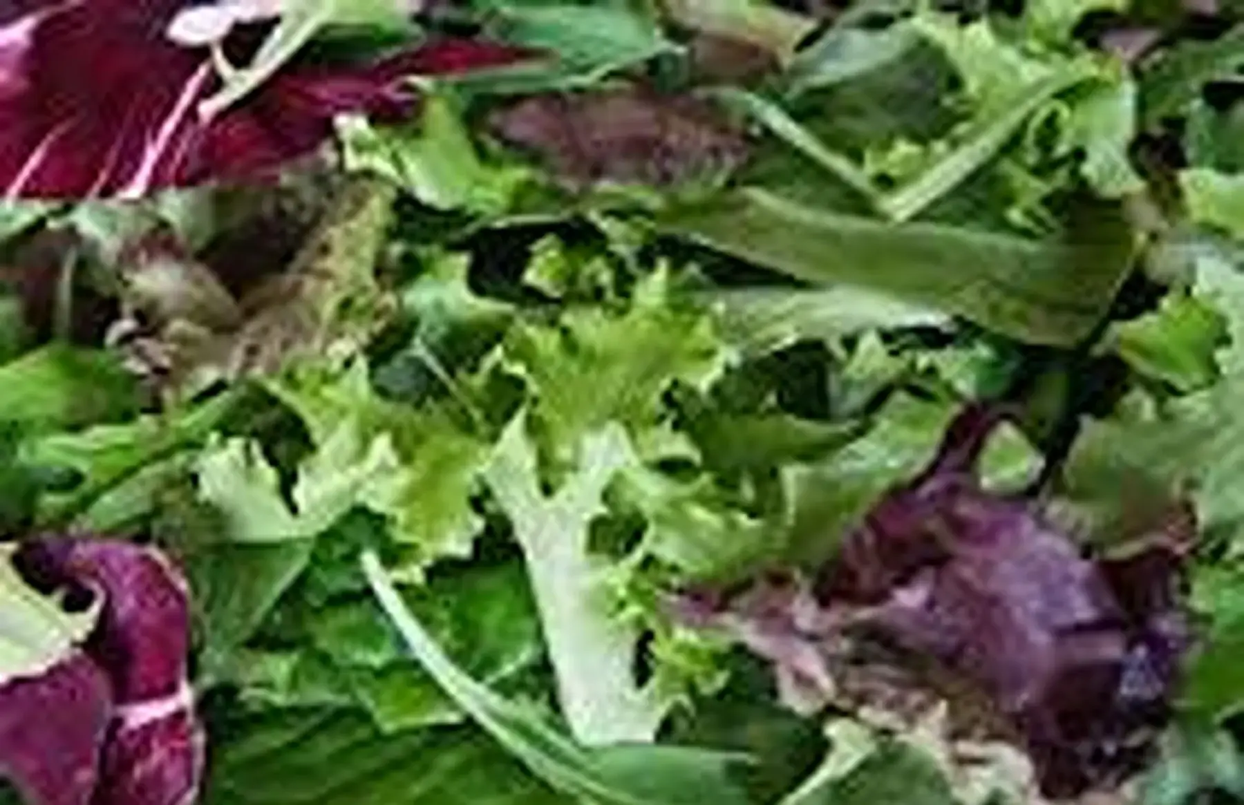 mesclun