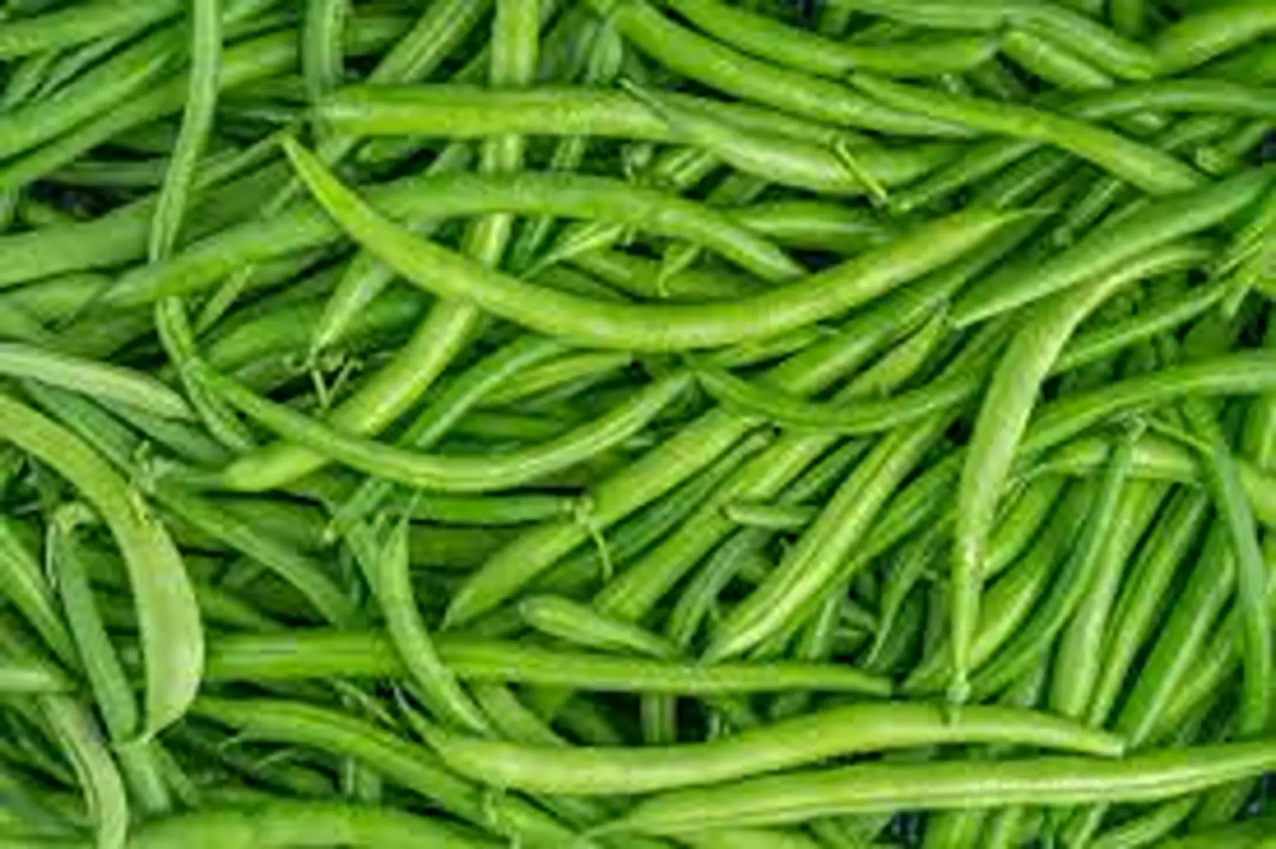 haricot vert