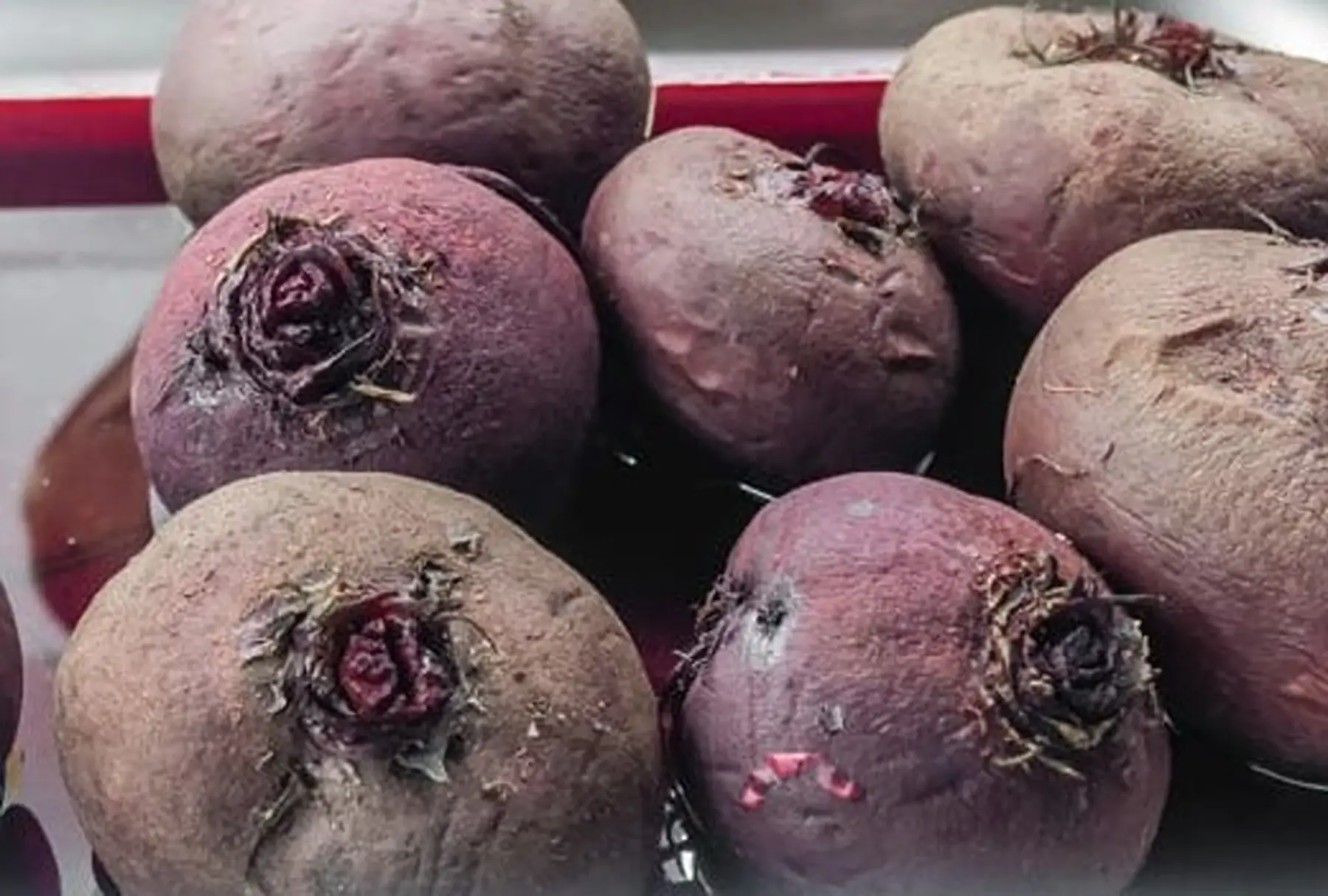 betterave rouge cuite