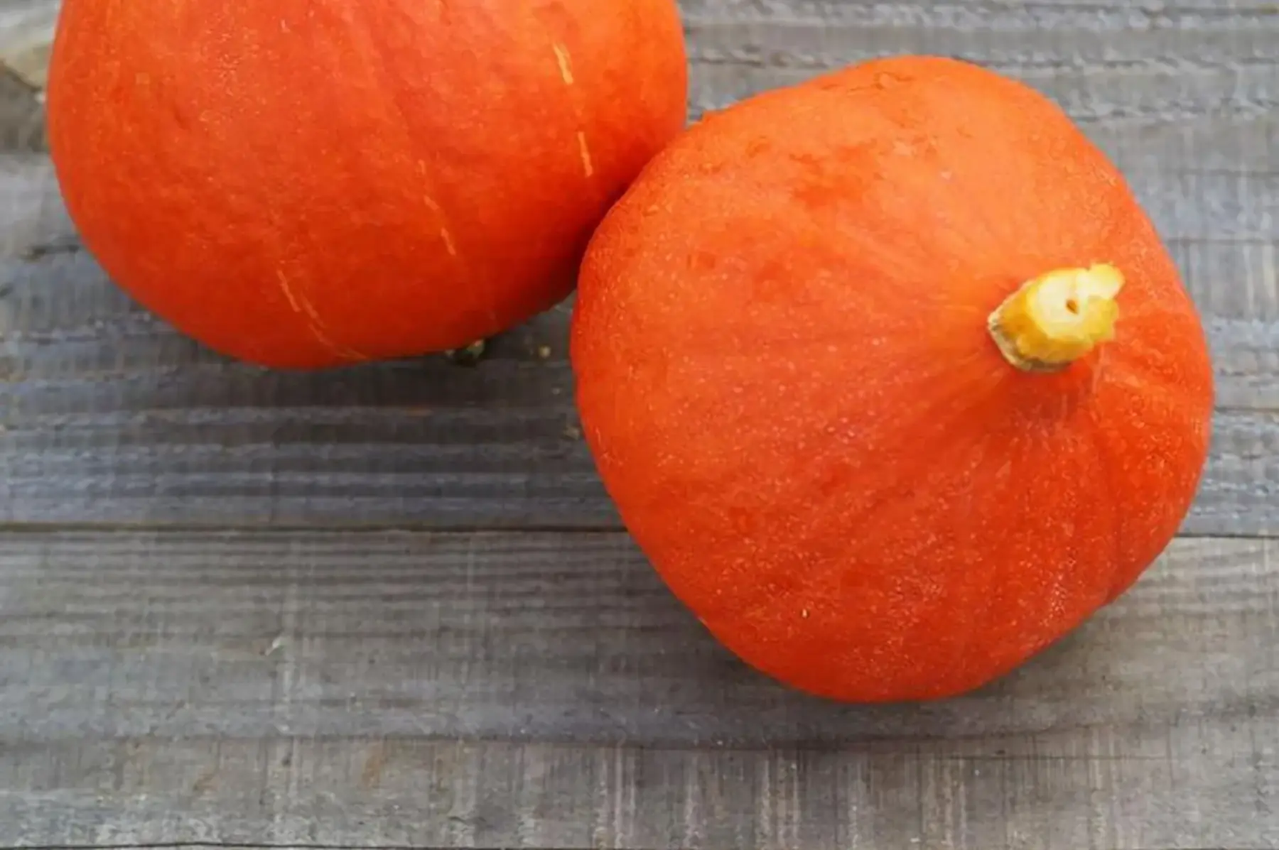 courge potimarron moyenne pièce d'environ 800g