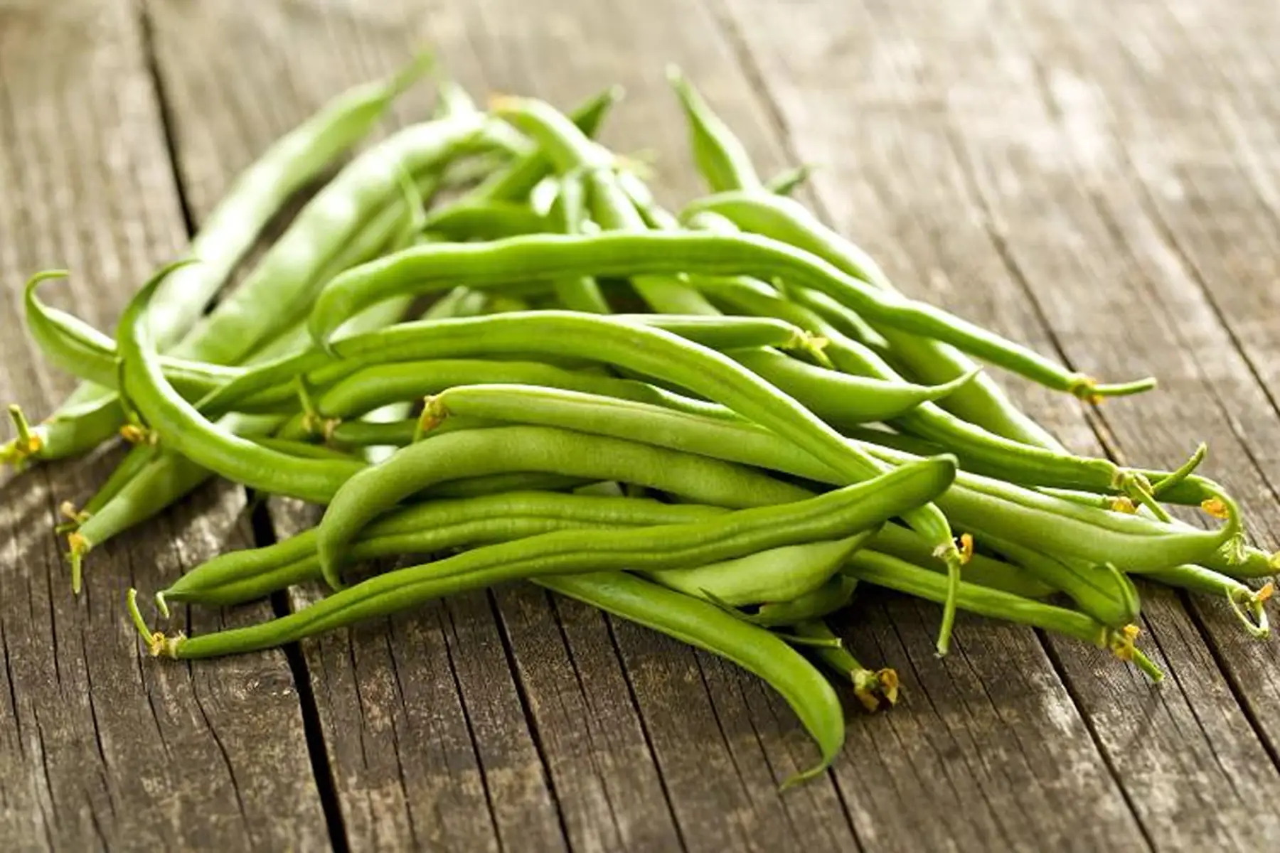 haricot vert
