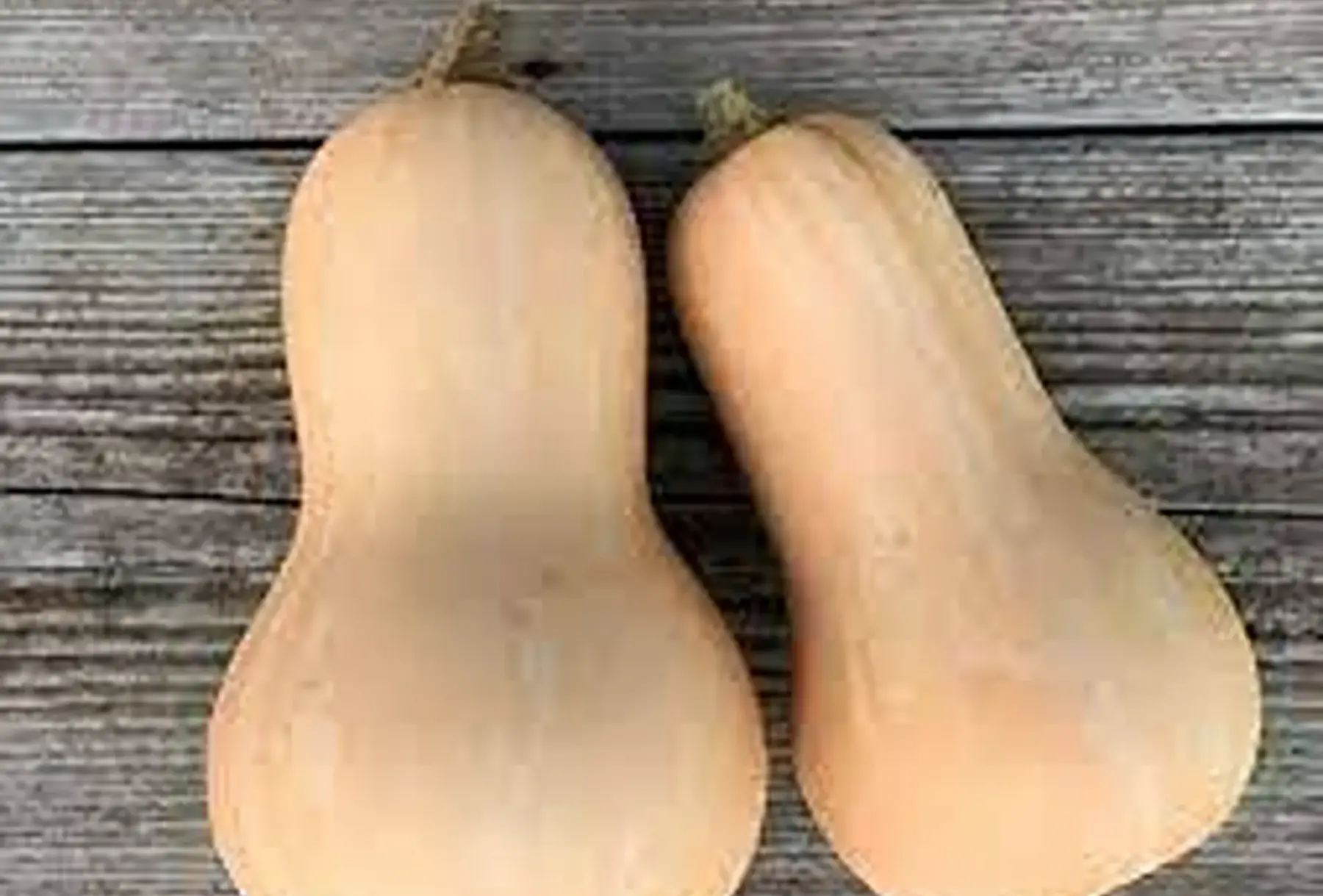 courge butternut grosse pièce d'environ 2kg