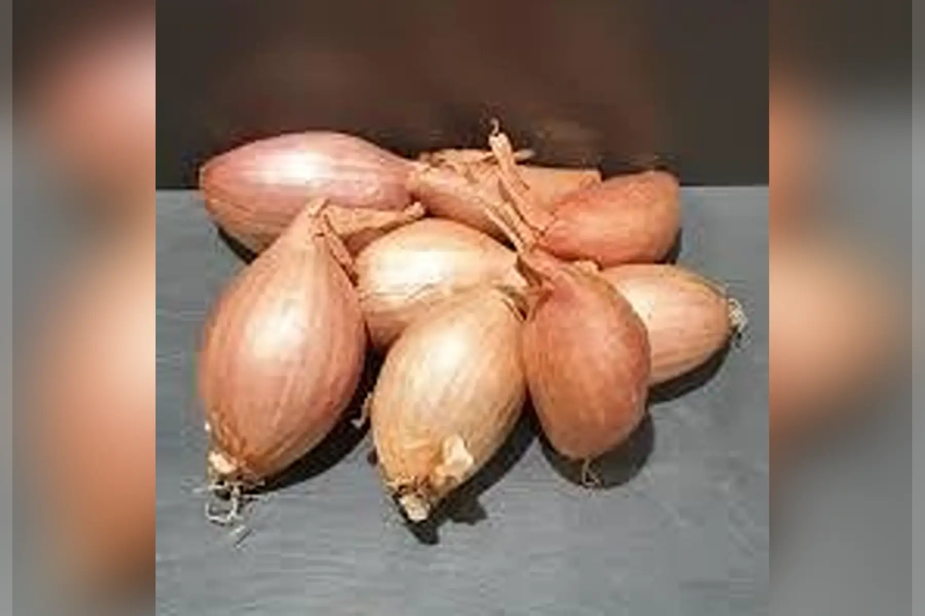 échalote sachet de 200g