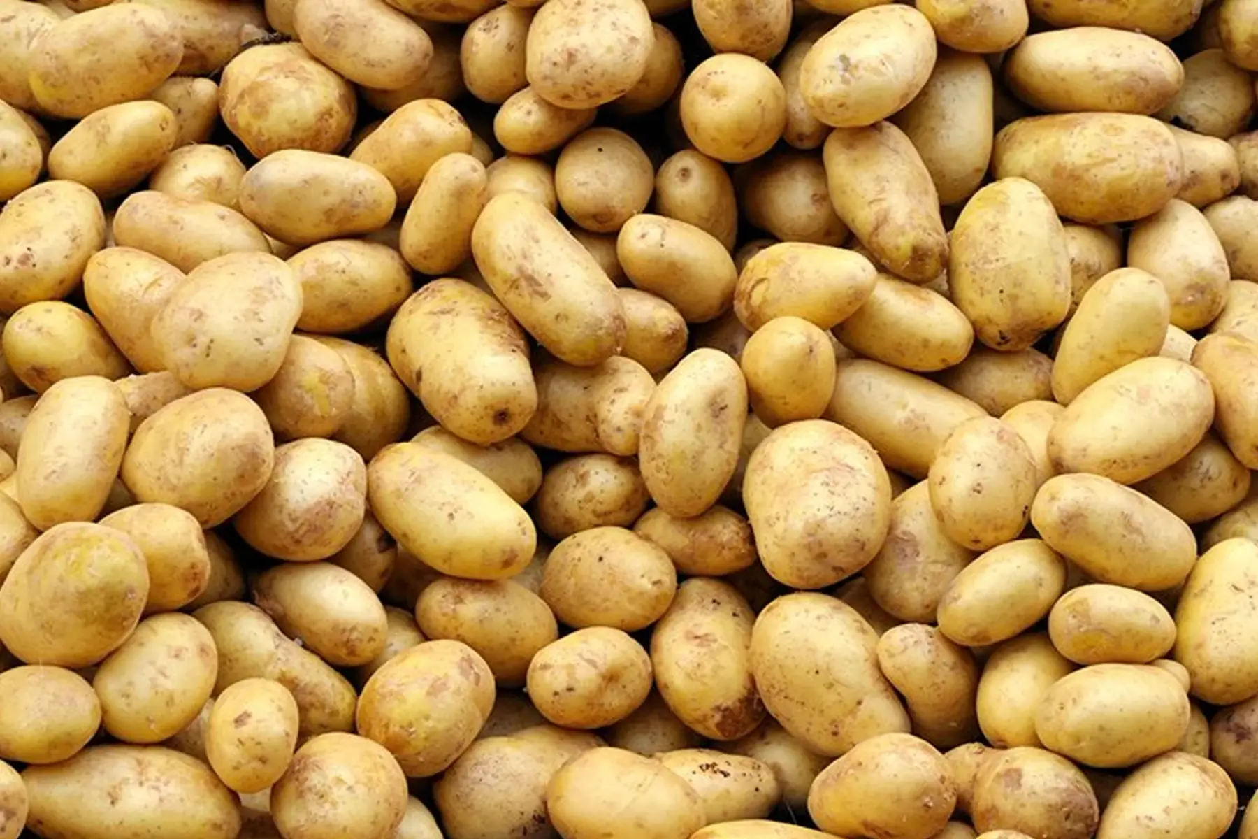 promo - sac de pomme de terre 5 kg