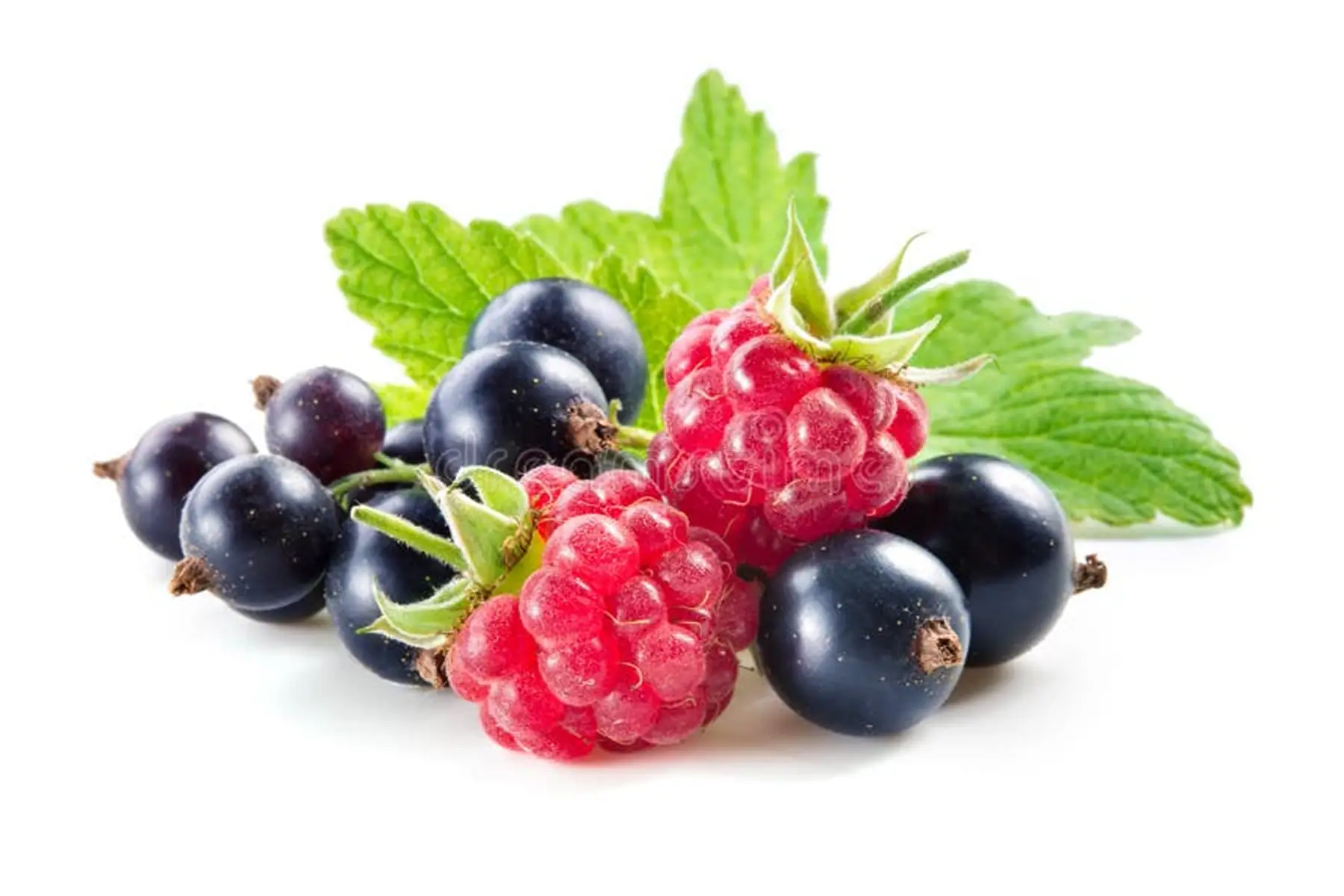 Offre spéciale Framboises-Cassis: 20 € le lot de 5 plants