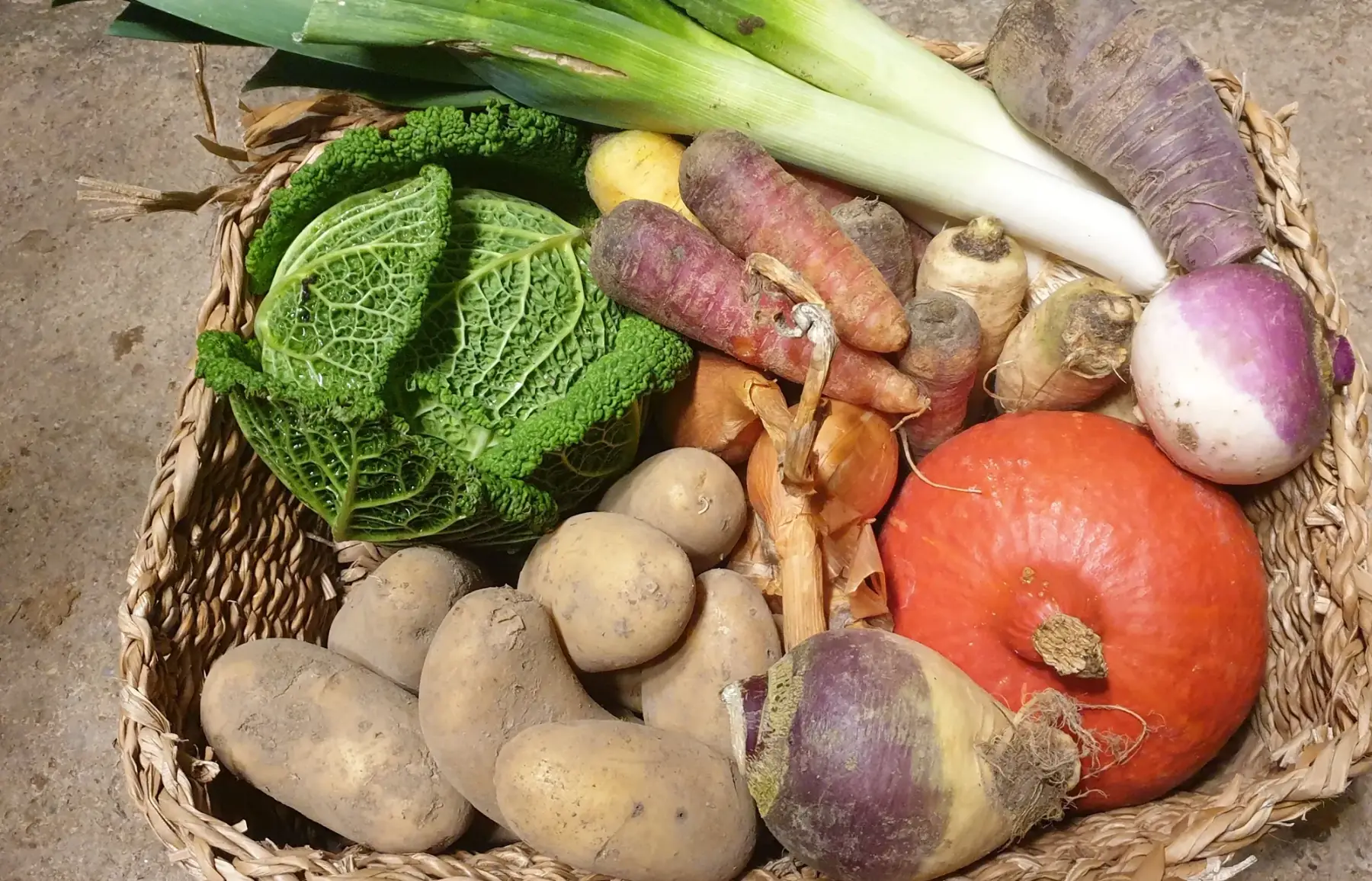 a - le panier de la petite lucette