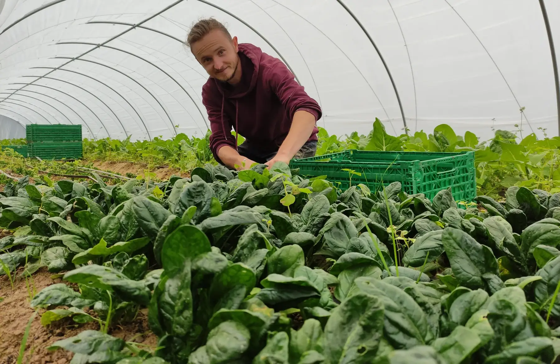 GAEC des trois chemins
