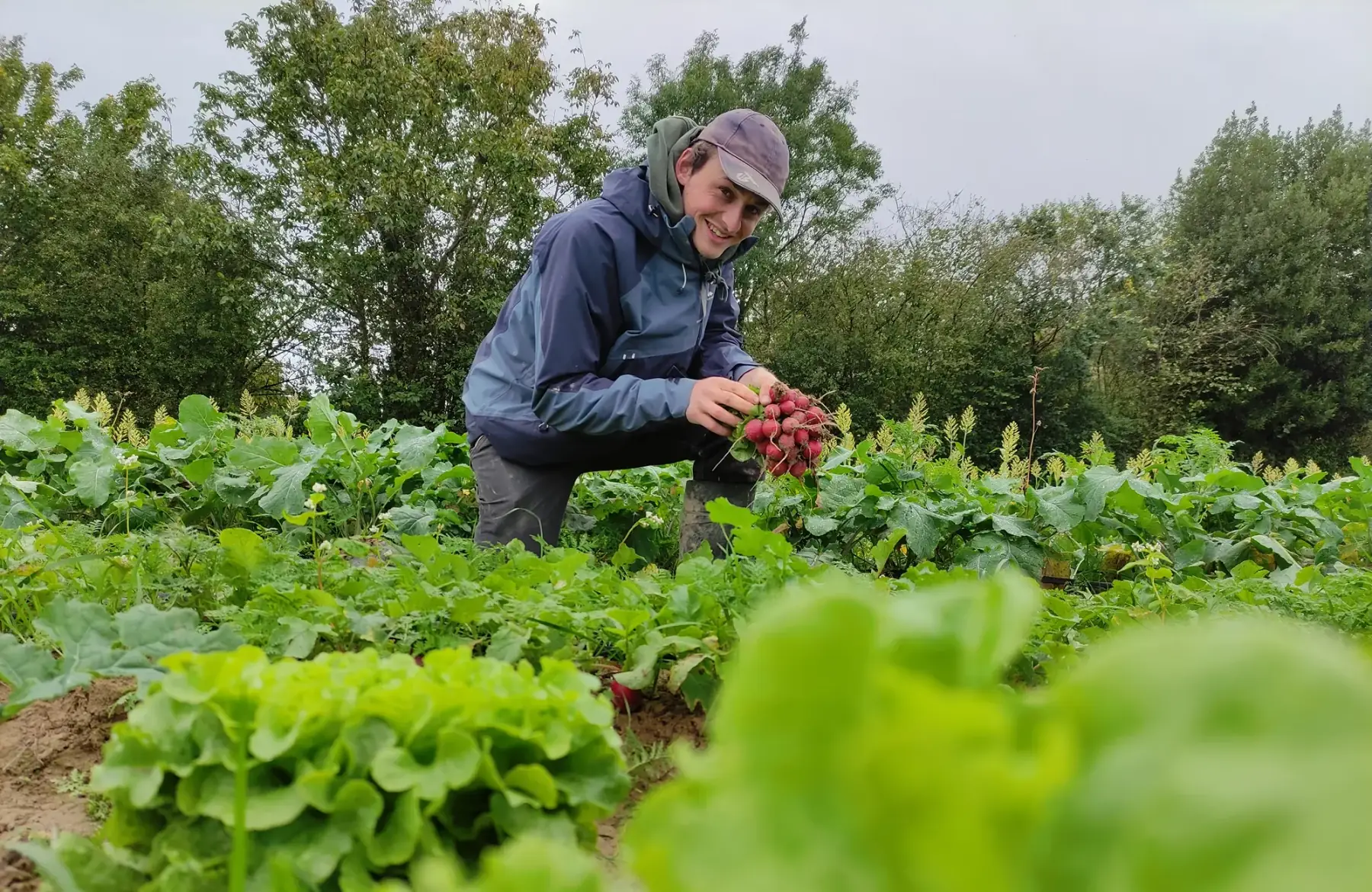 GAEC des trois chemins