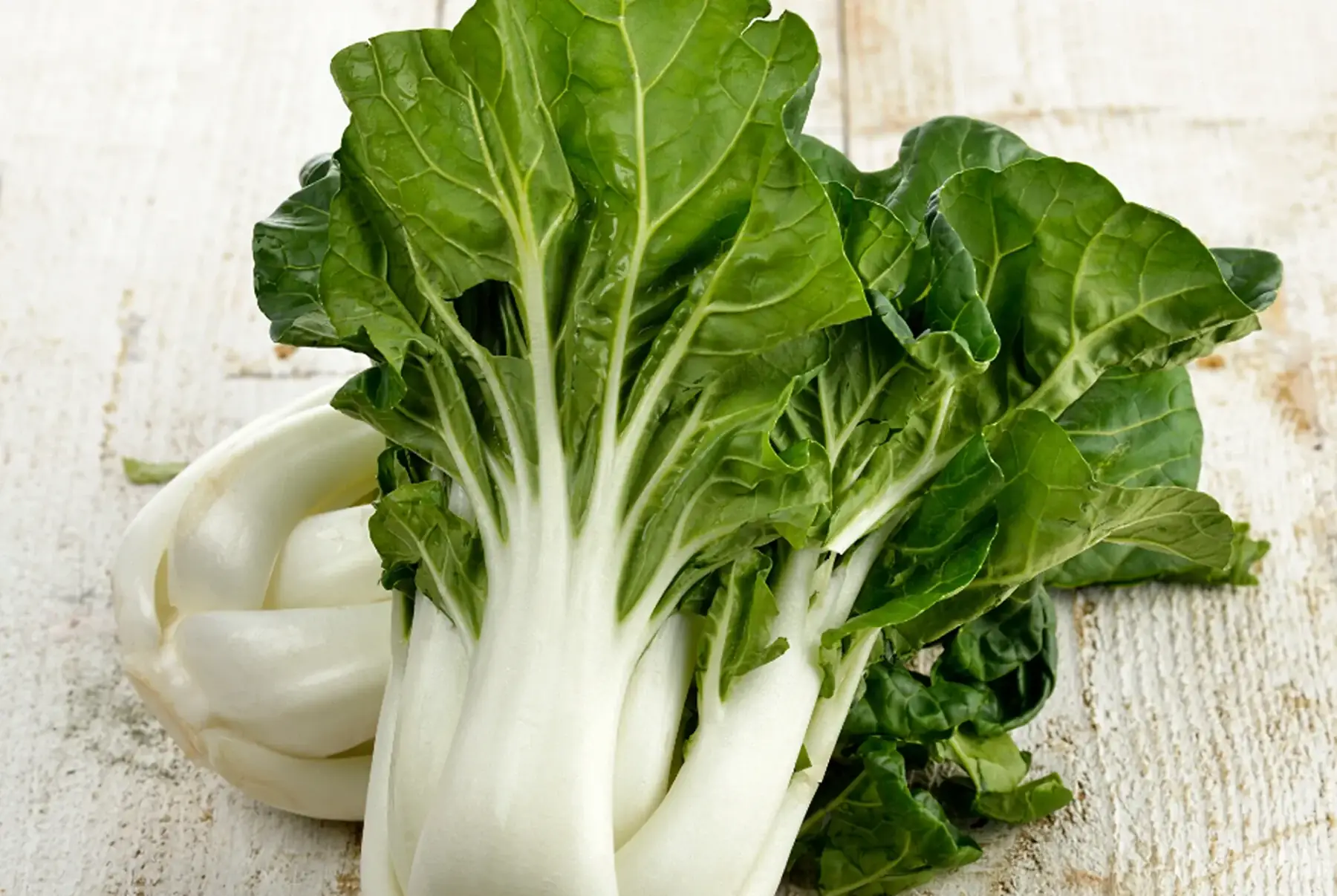 chou chinois pak choi