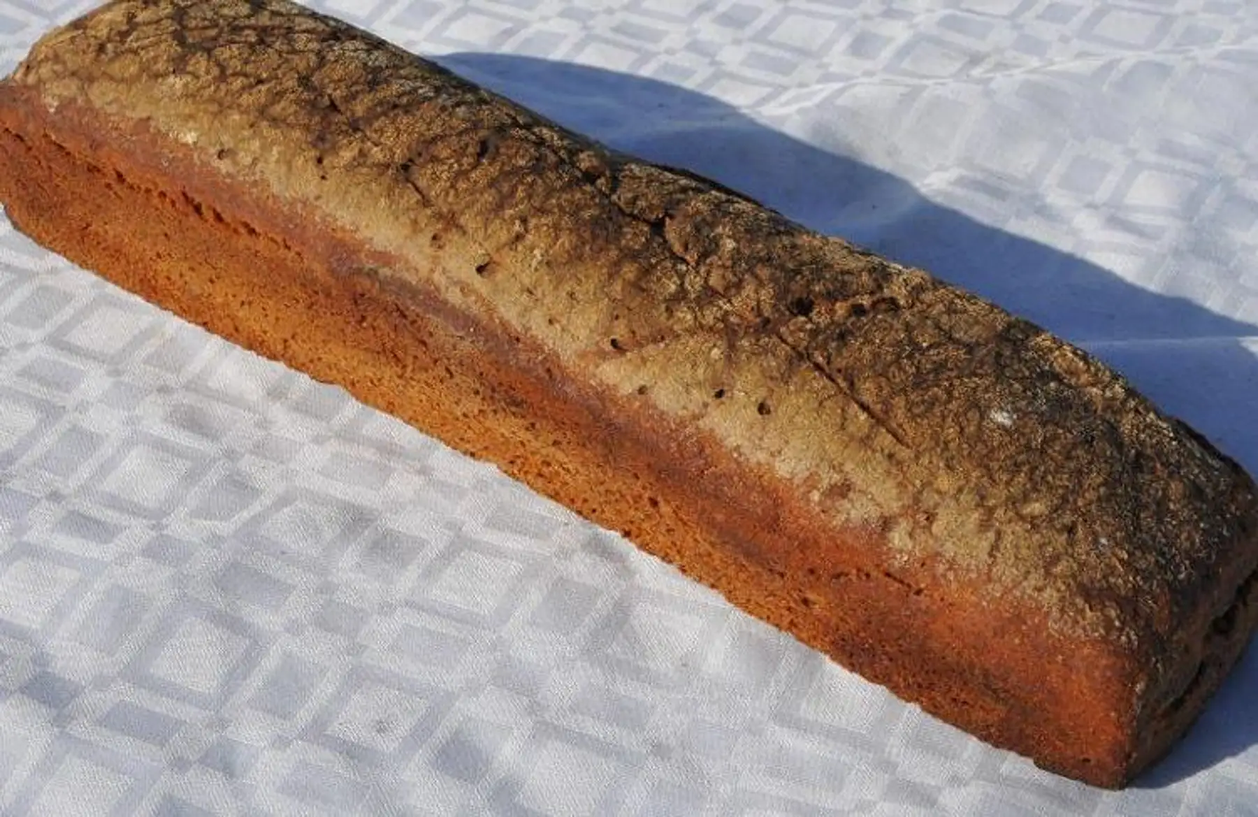 Pain seigle en tourte ou moulé 1 kg