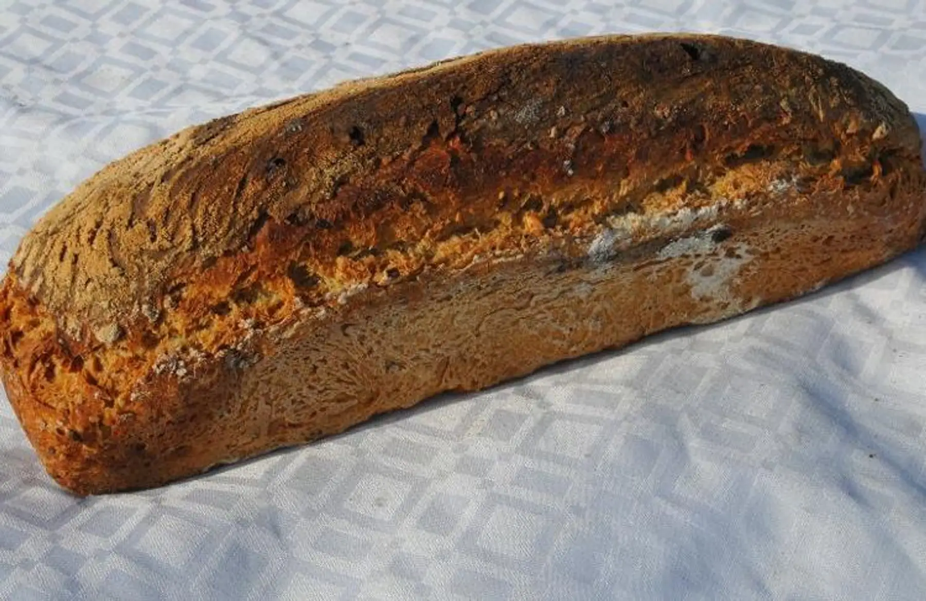 Pain multigraines moulé 1 kg