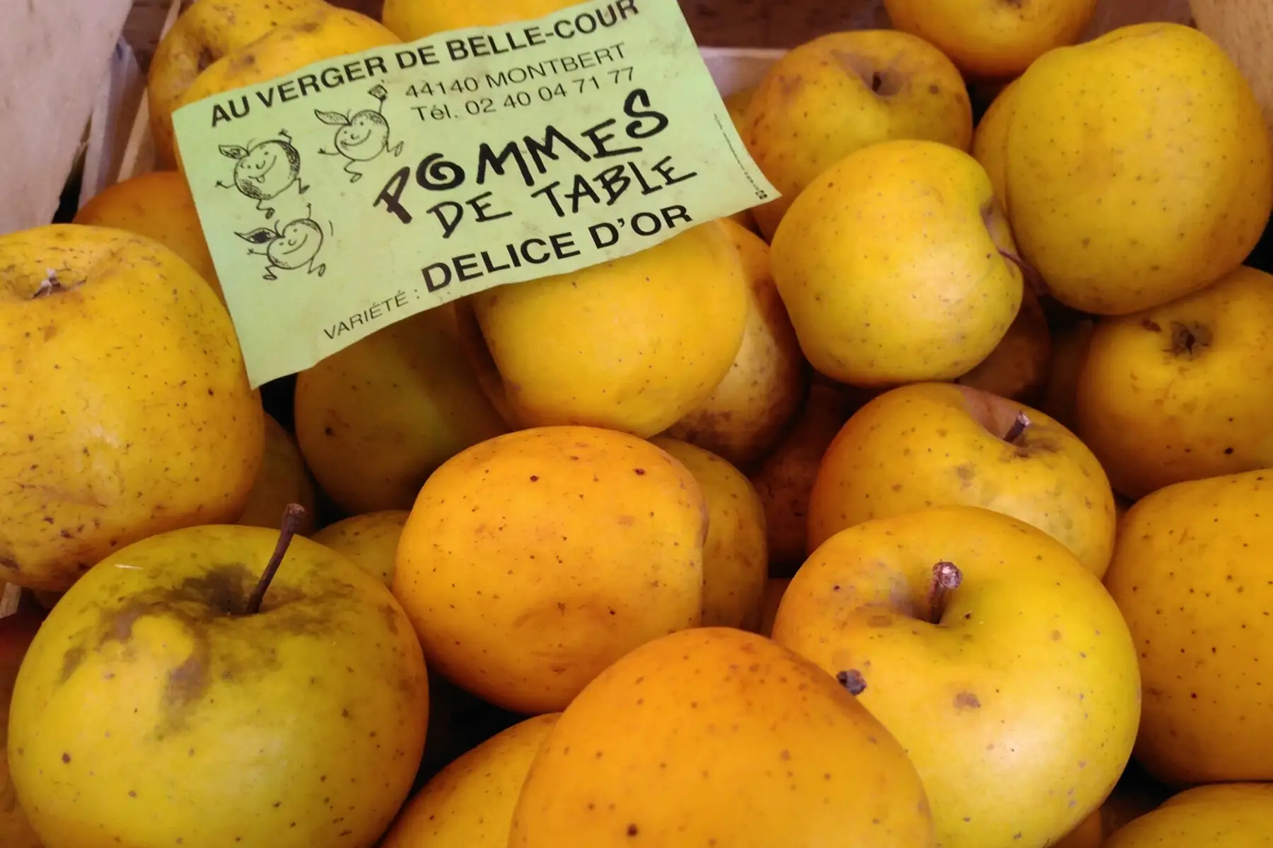 Pomme"Délice d'or"