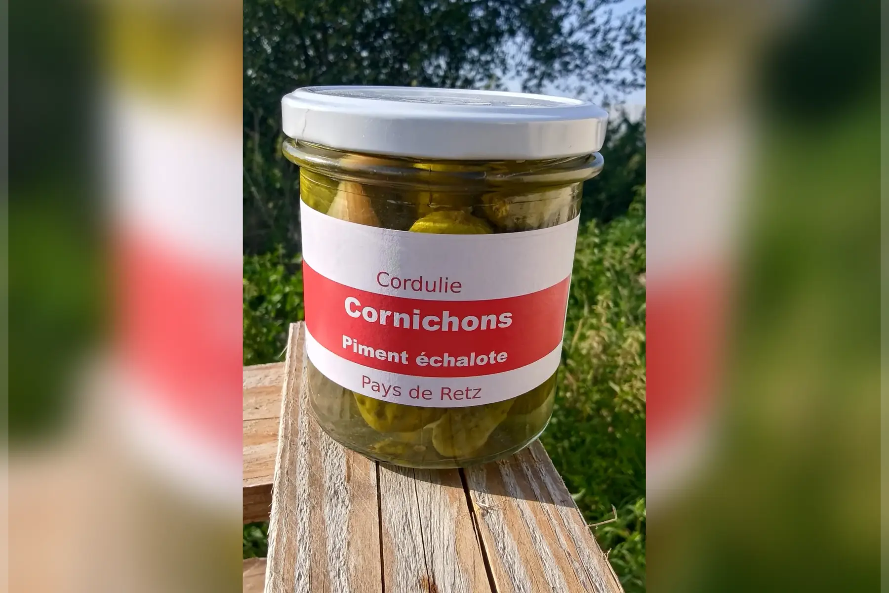 Cornichons "piment échalotte"