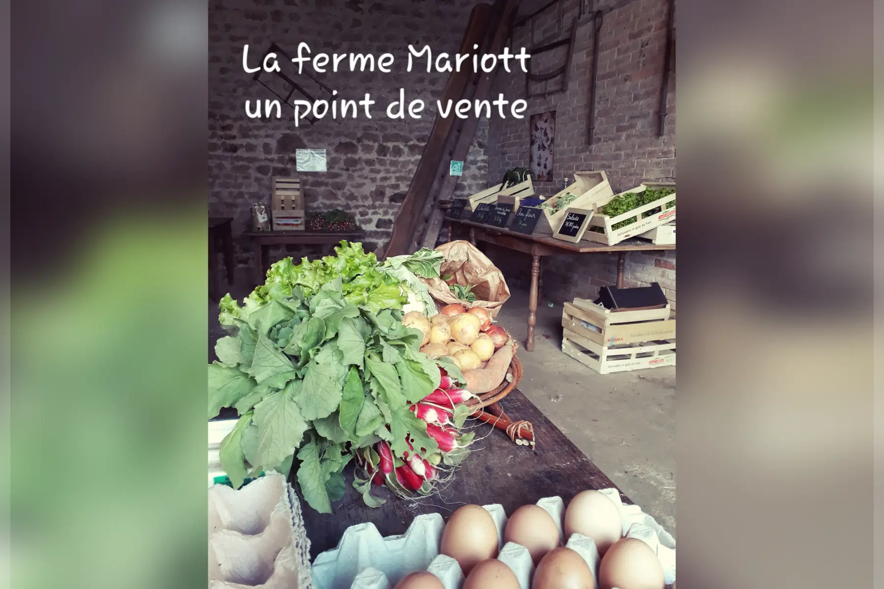 La Ferme Mariott