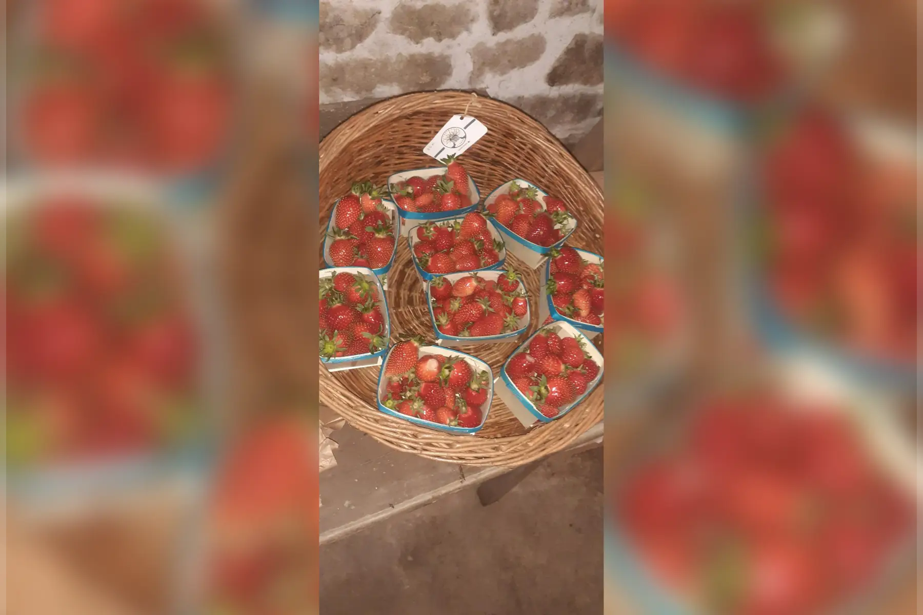 barquette de fraises