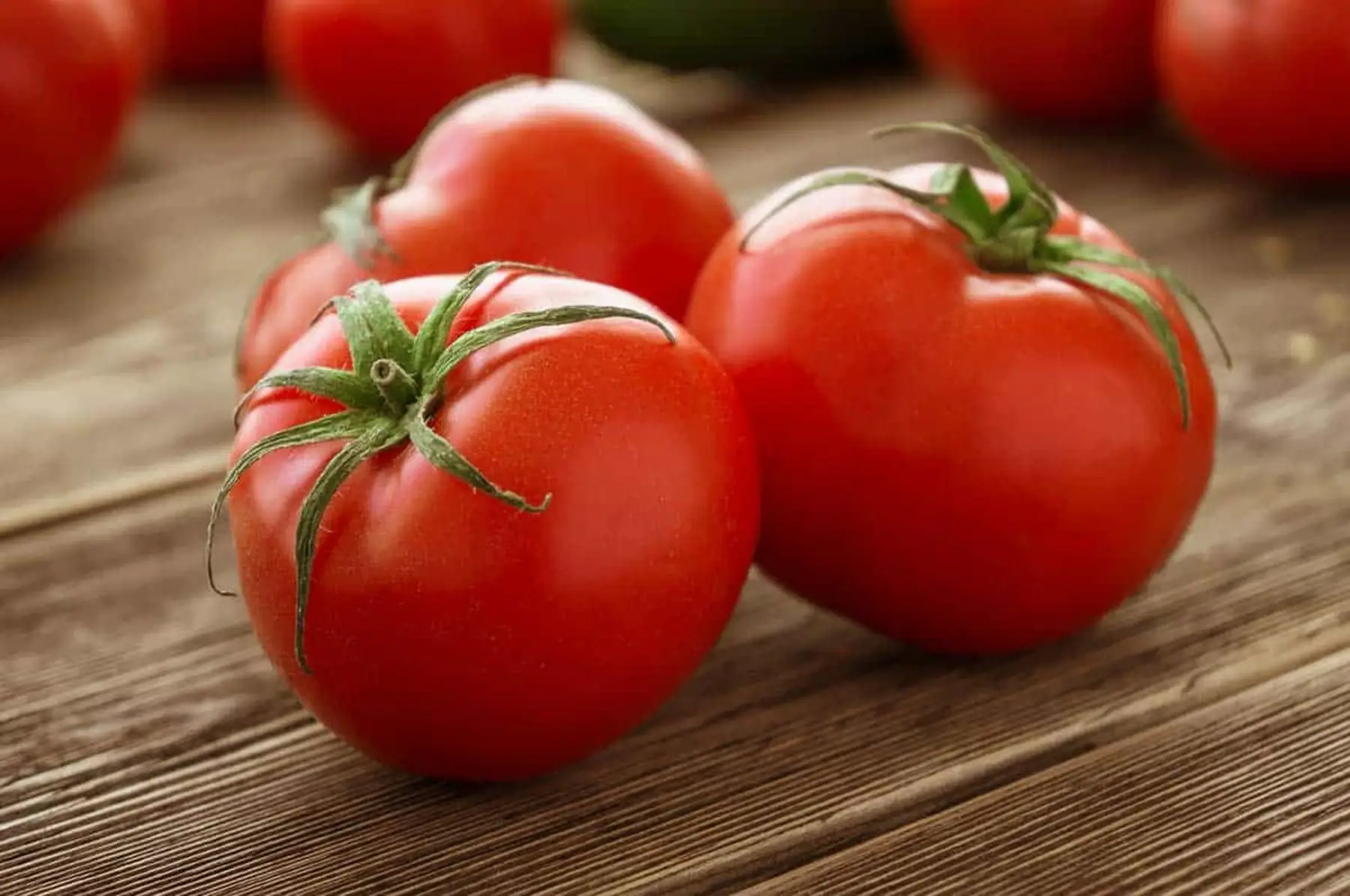 tomates