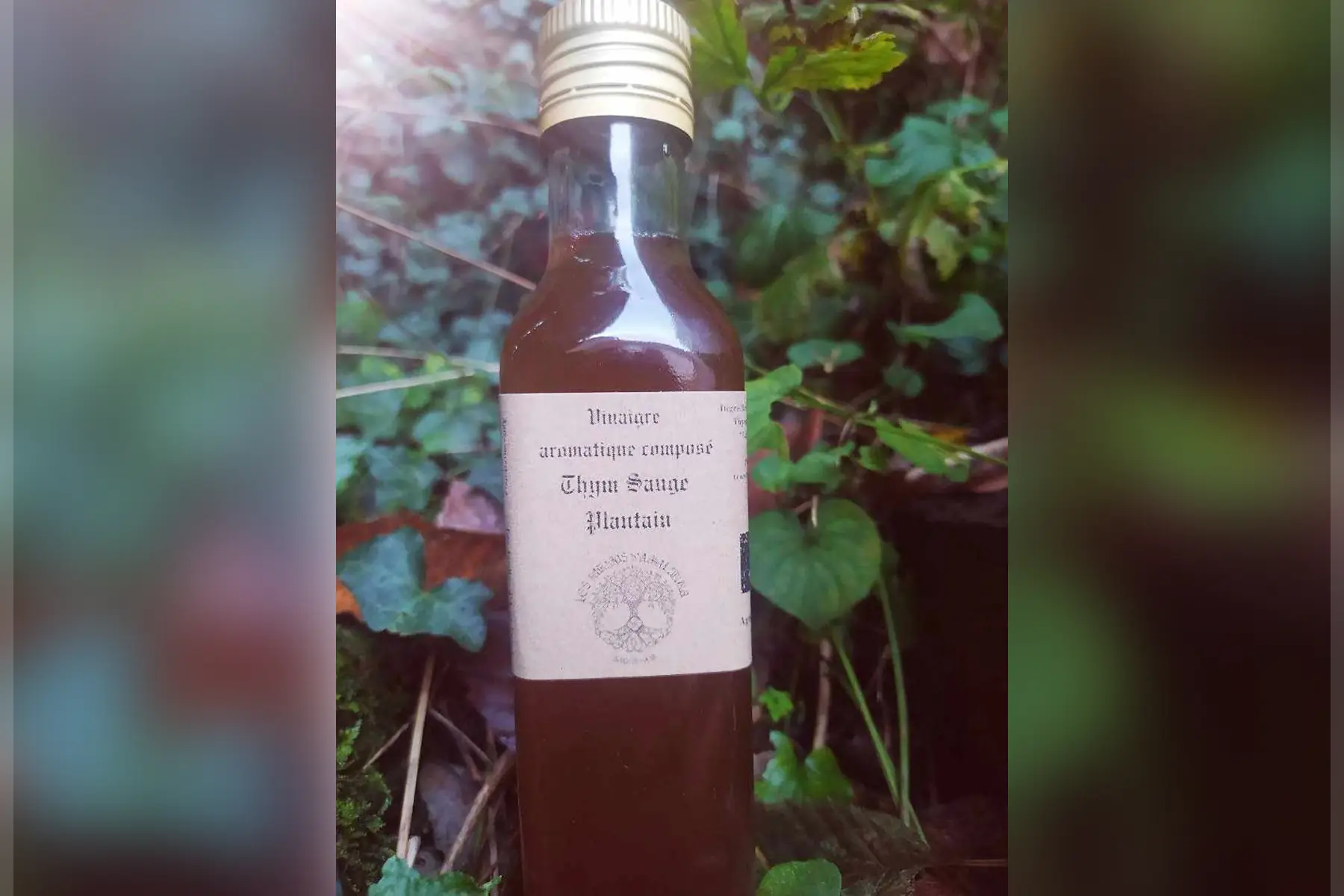 vinaigre aromatique composé thym sauge plantain