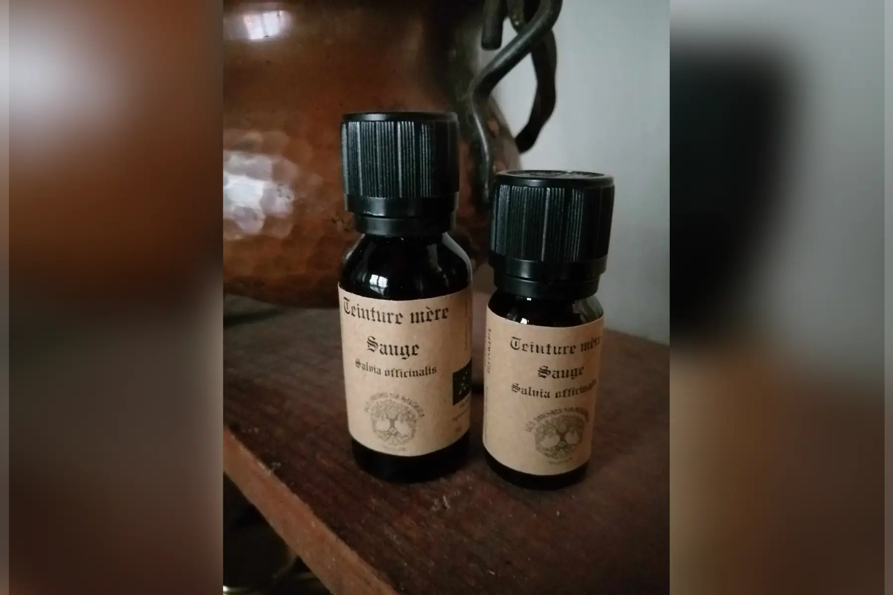 teinture mère sauge salvia officinalis