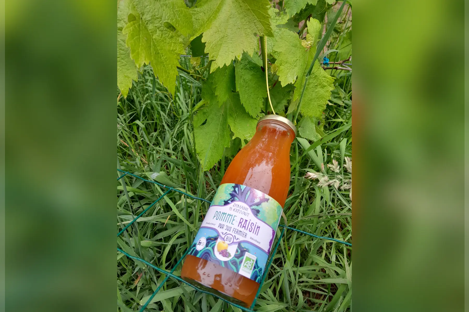 jus de pomme-raisin bio 50cl