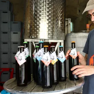 la renarde qui brasse