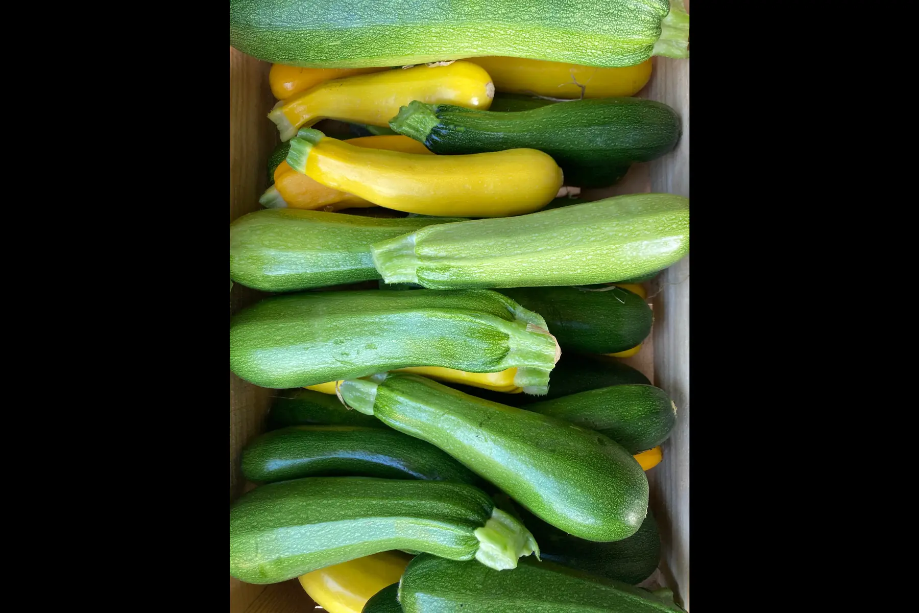courgette