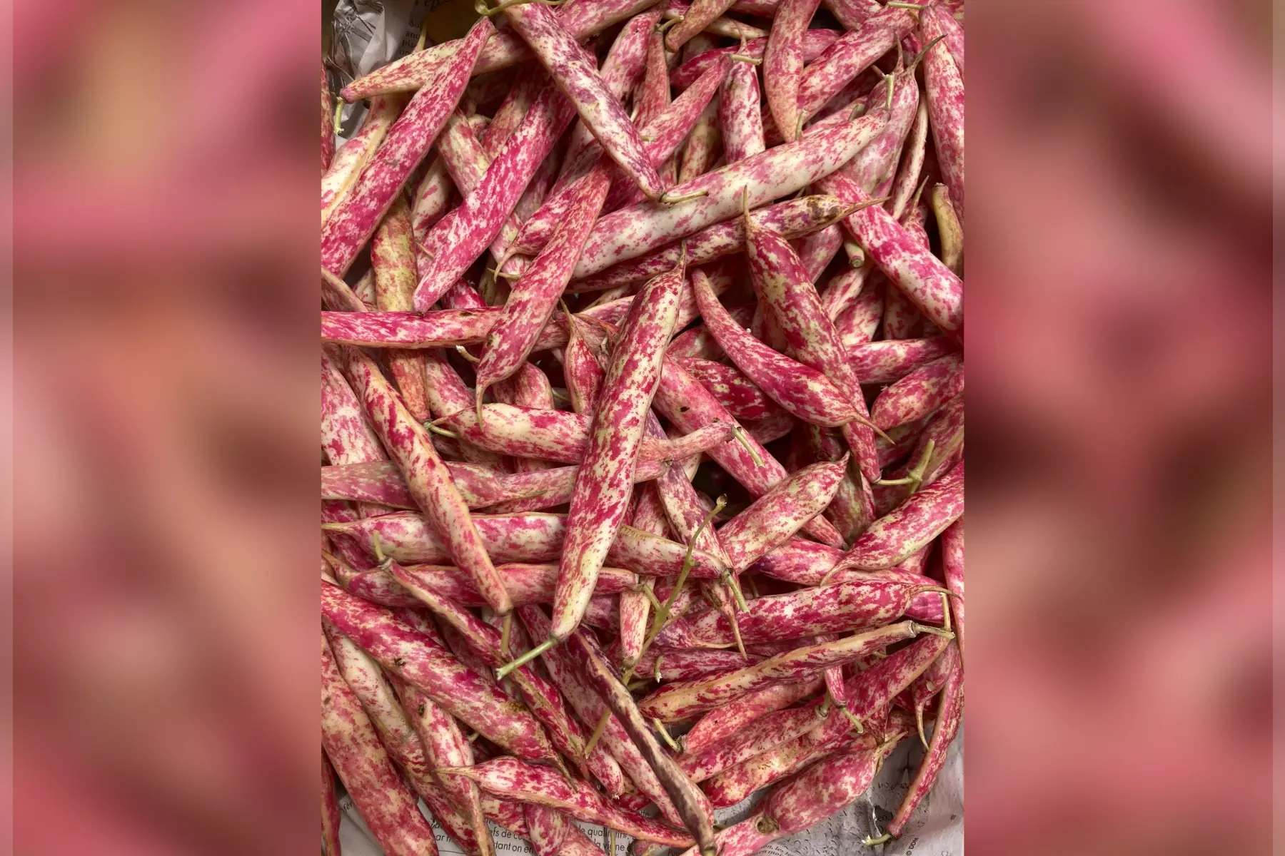 La Ferme du Rouge-gorge