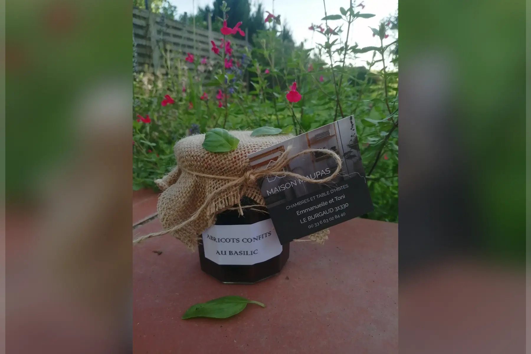 abricots confits au basilic