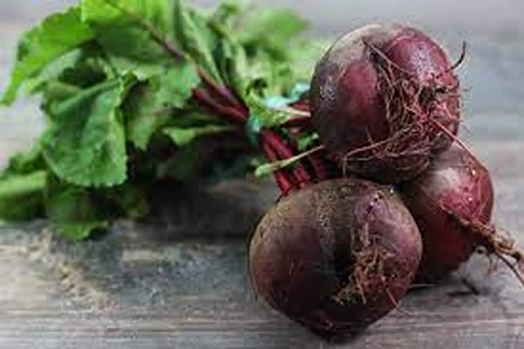 Betterave botte