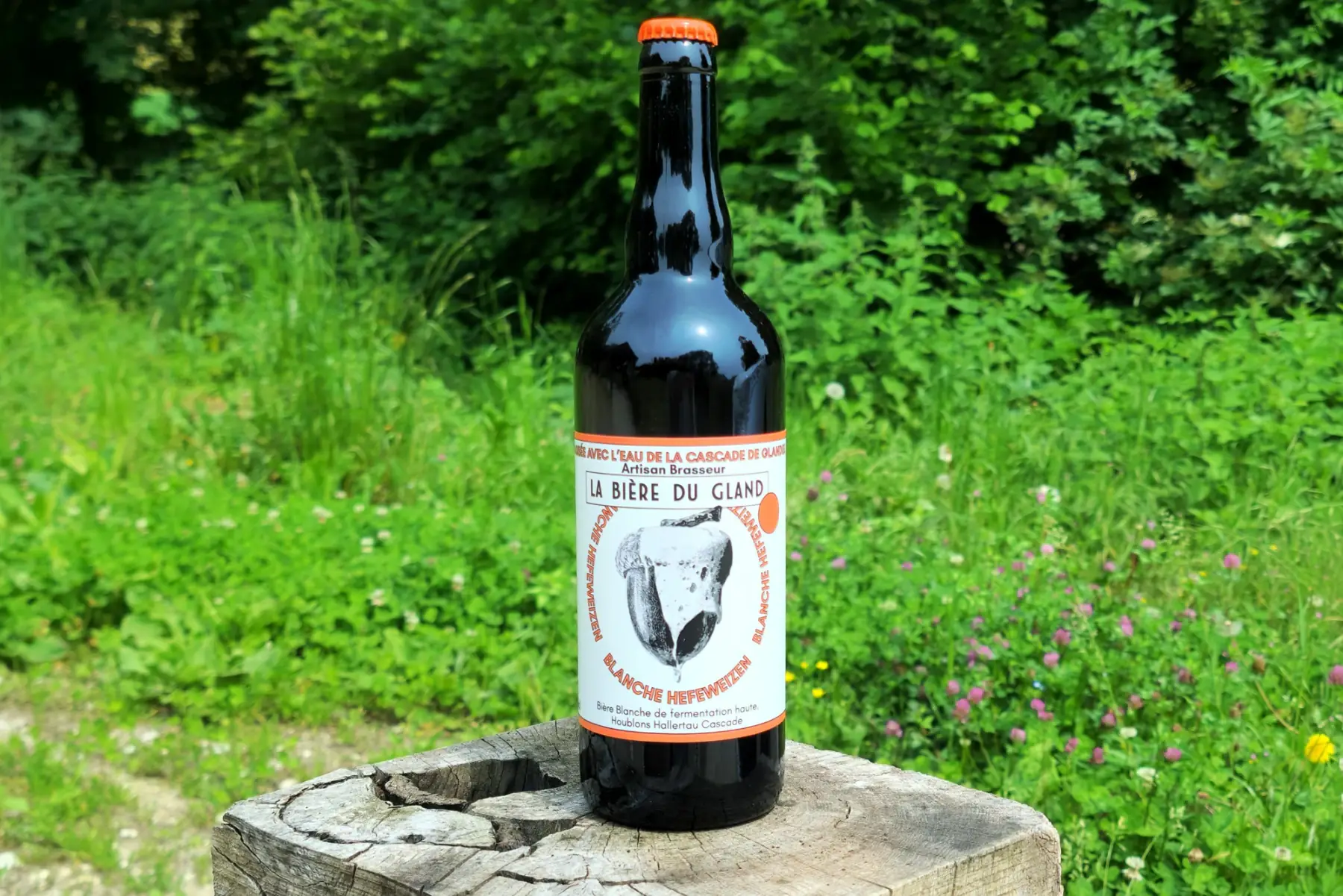 bière blanche hefeweizen