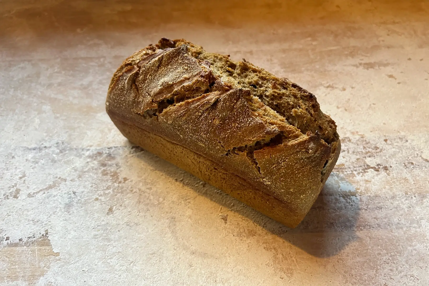 méteil (seigle et t80) moulé