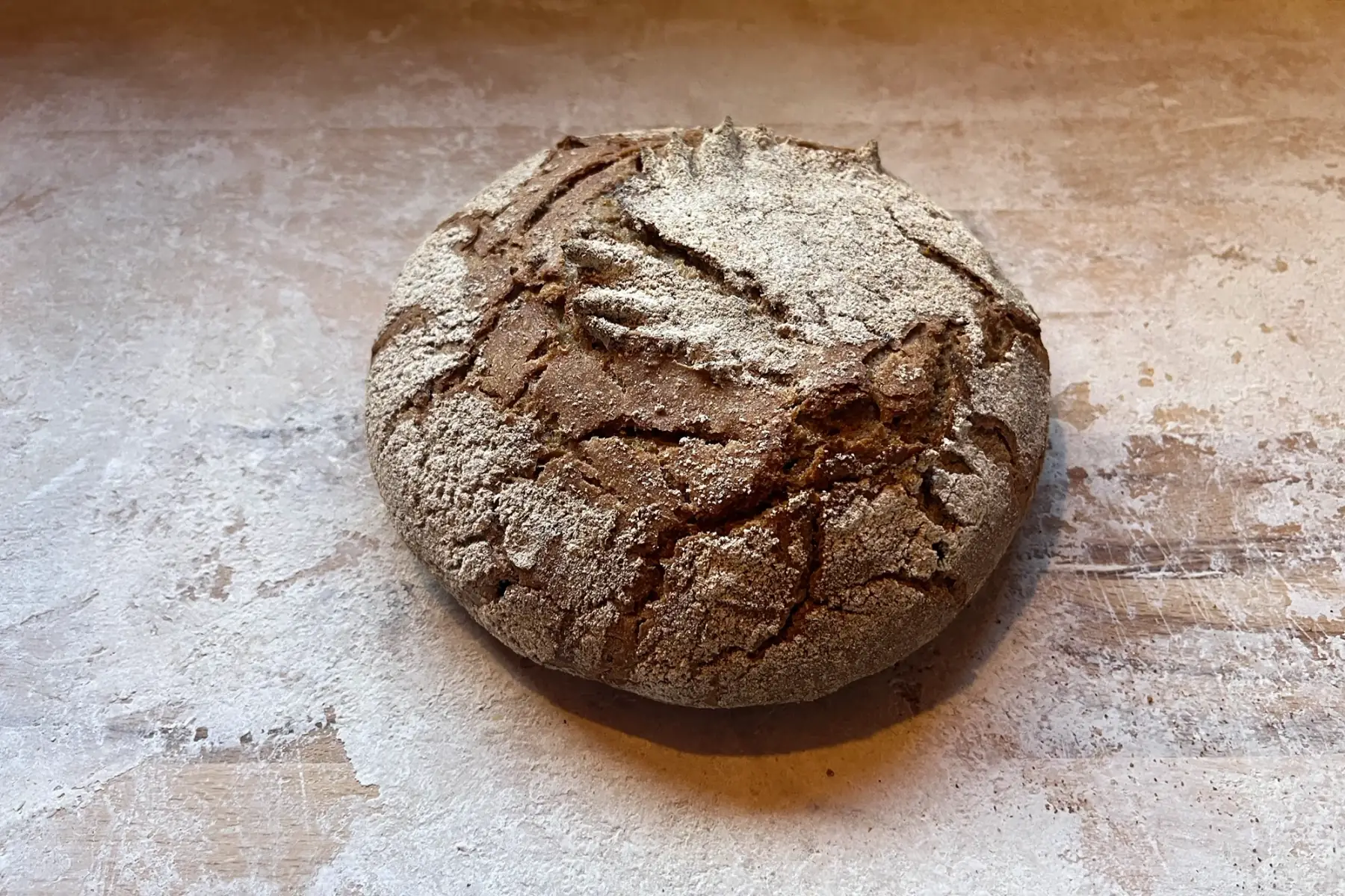 méteil (seigle et t80) boulé